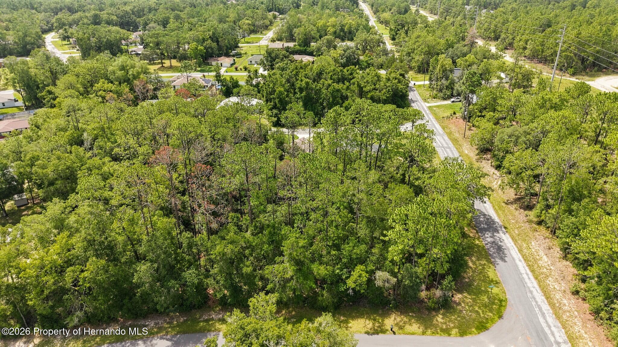 1320 W Sorrento Drive Citrus Springs Florida United States, for Sale, residential,  , Gold Star Realty Group Inc