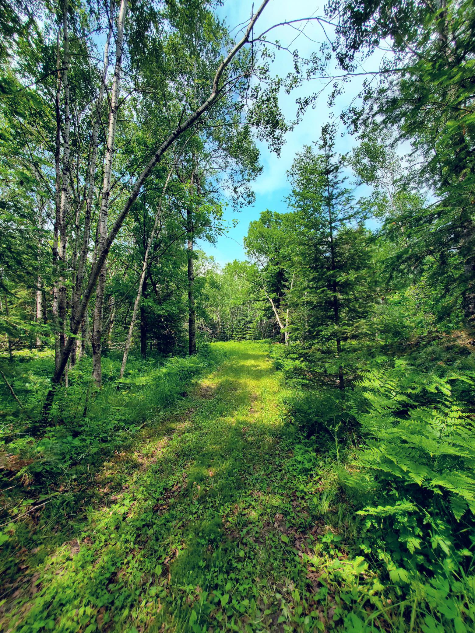 TBD County Rd 39 Laporte Minnesota United States, Sold, residential,  , Headwaters Realty Services