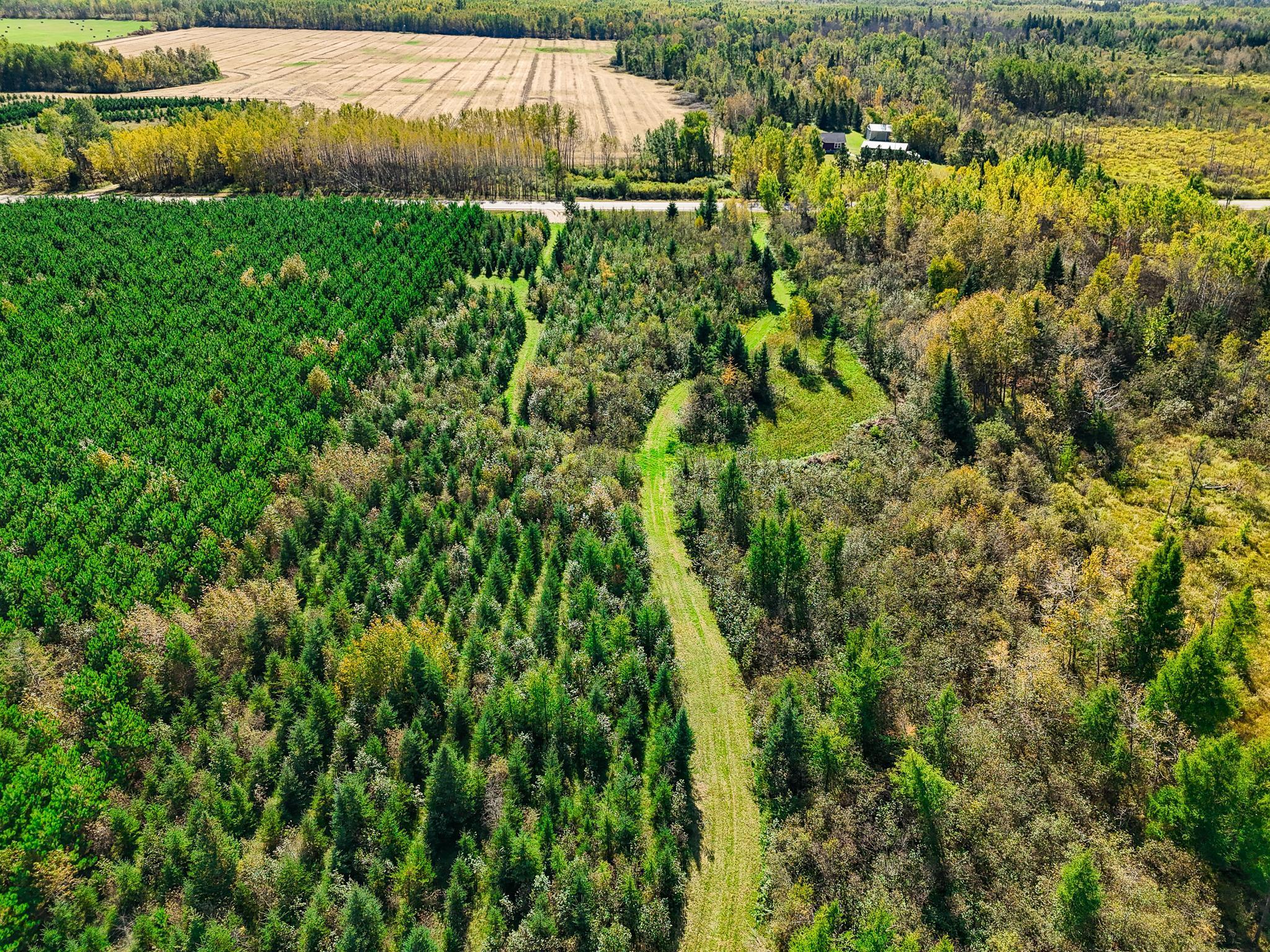 LOT #1 TBD Co 9 Solway Minnesota United States, Sold, commercial,  , Headwaters Realty Services