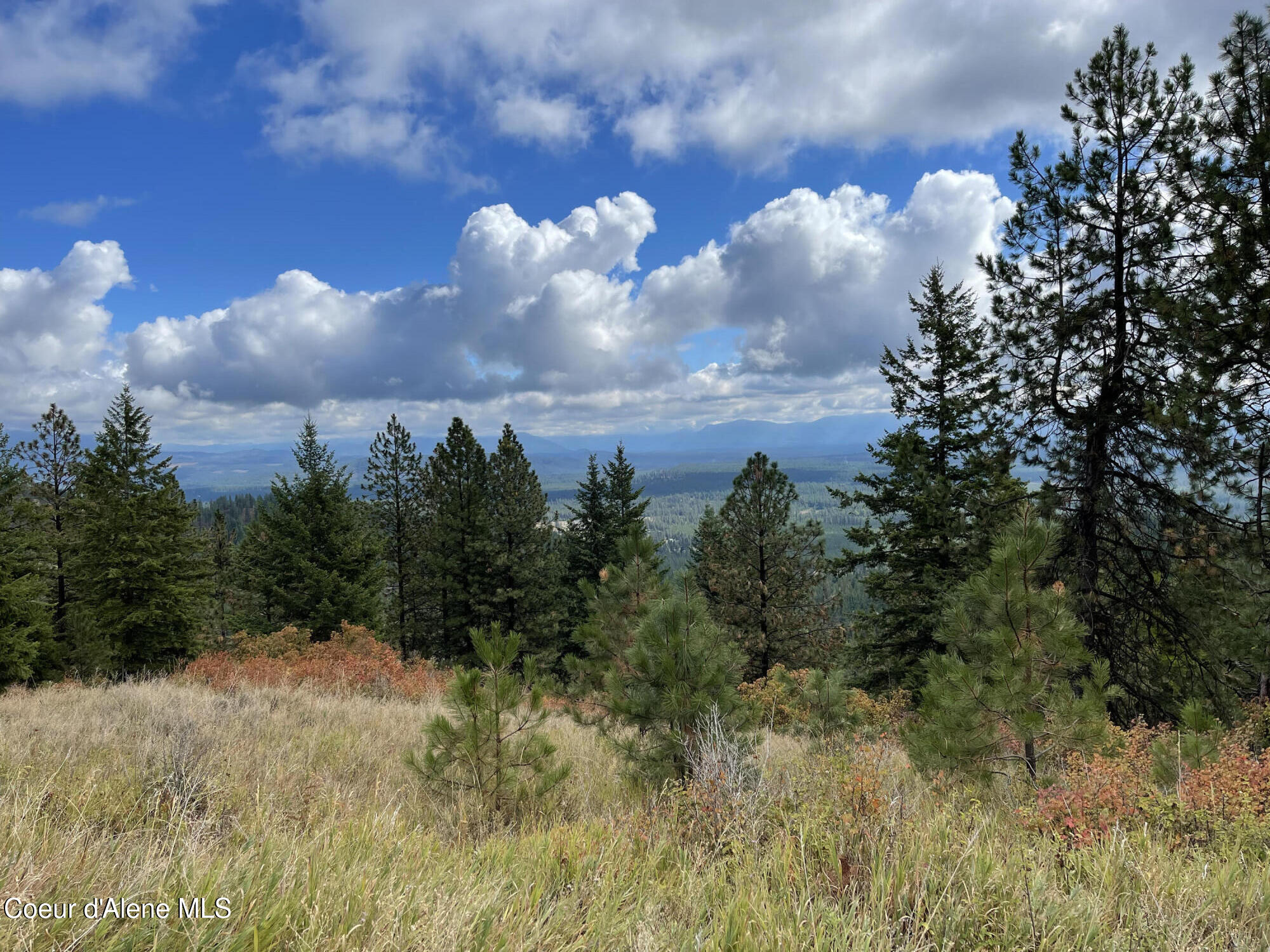 NKA Glad Lane Spirit Lake Idaho United States, for Sale, commercial, Jenna Wynand, Realty ONE Group Eclipse