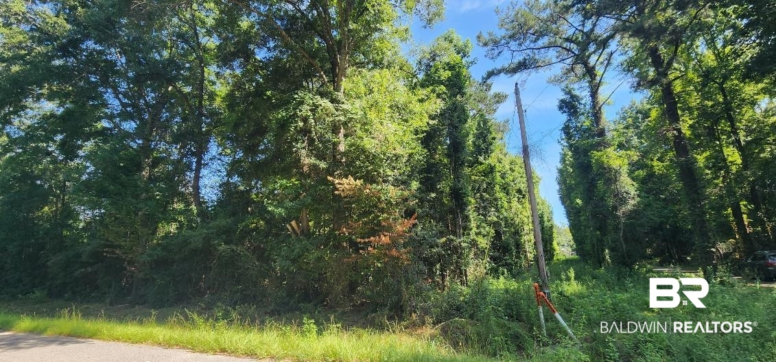 Smith Road Stockton Alabama United States, for Sale, commercial,  , Rezults Real Estate Services, LLC