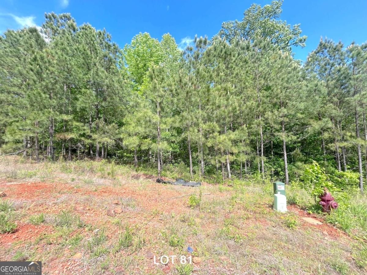 208 Oakdale Way Temple Georgia United States, for Sale, residential,  , Tactical Realty LLC