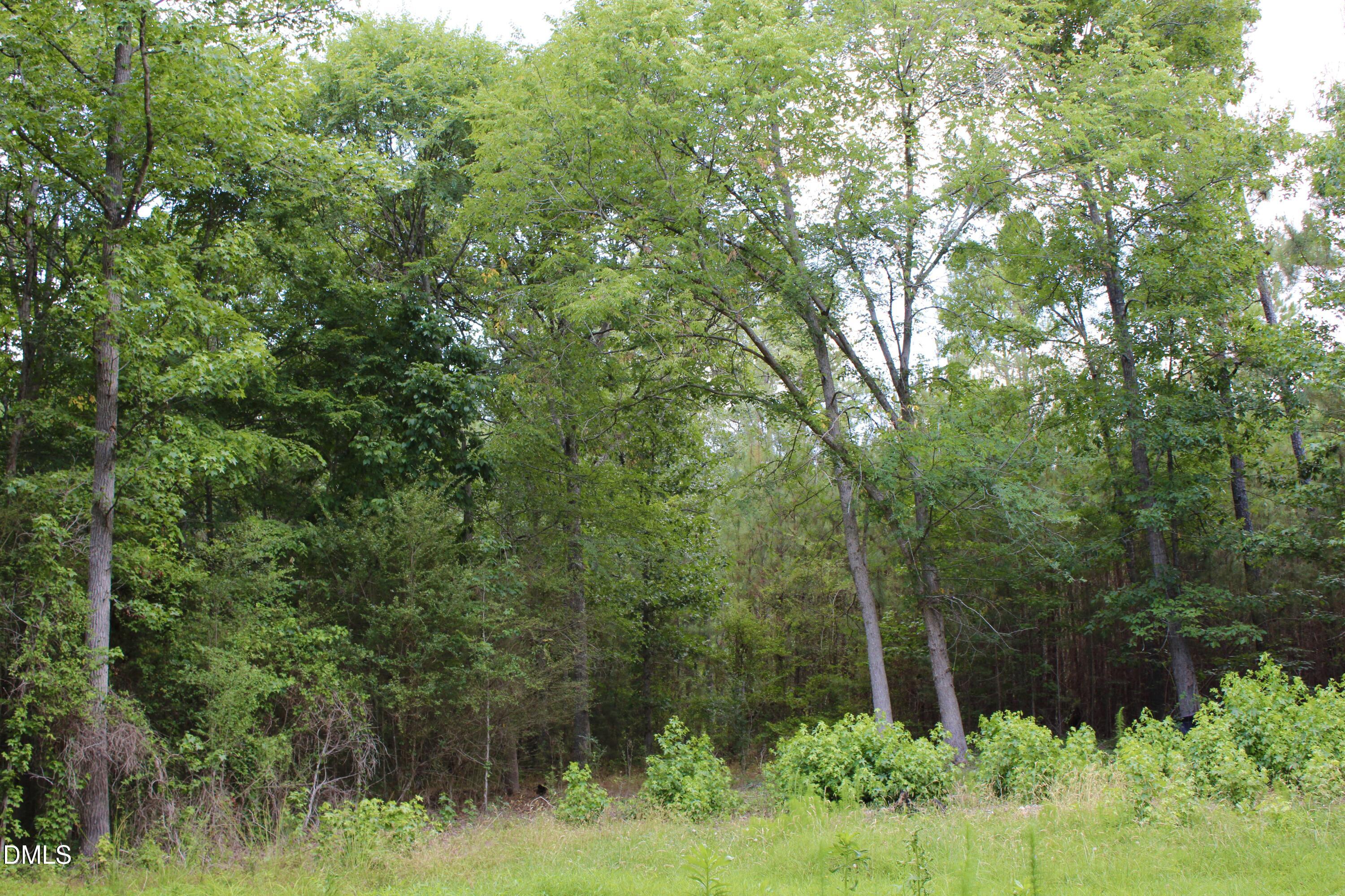 1920 Alston Chapel Road Pittsboro North Carolina United States, Sale Pending, residential,  , Realty World Carolina Properties