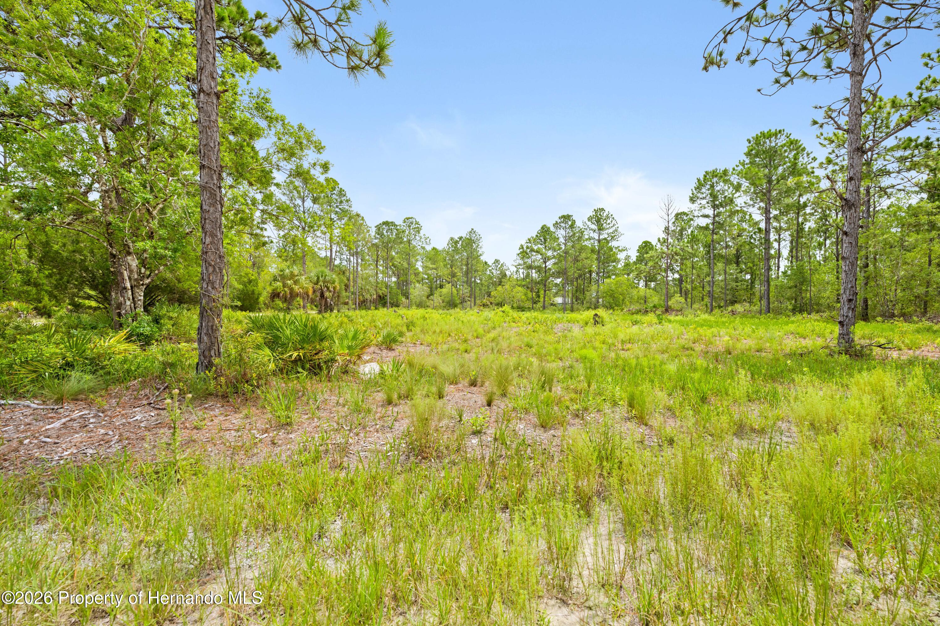 10052 Yellowbird Avenue Weeki Wachee Florida United States, for Sale, residential,  , Gold Star Realty Group Inc