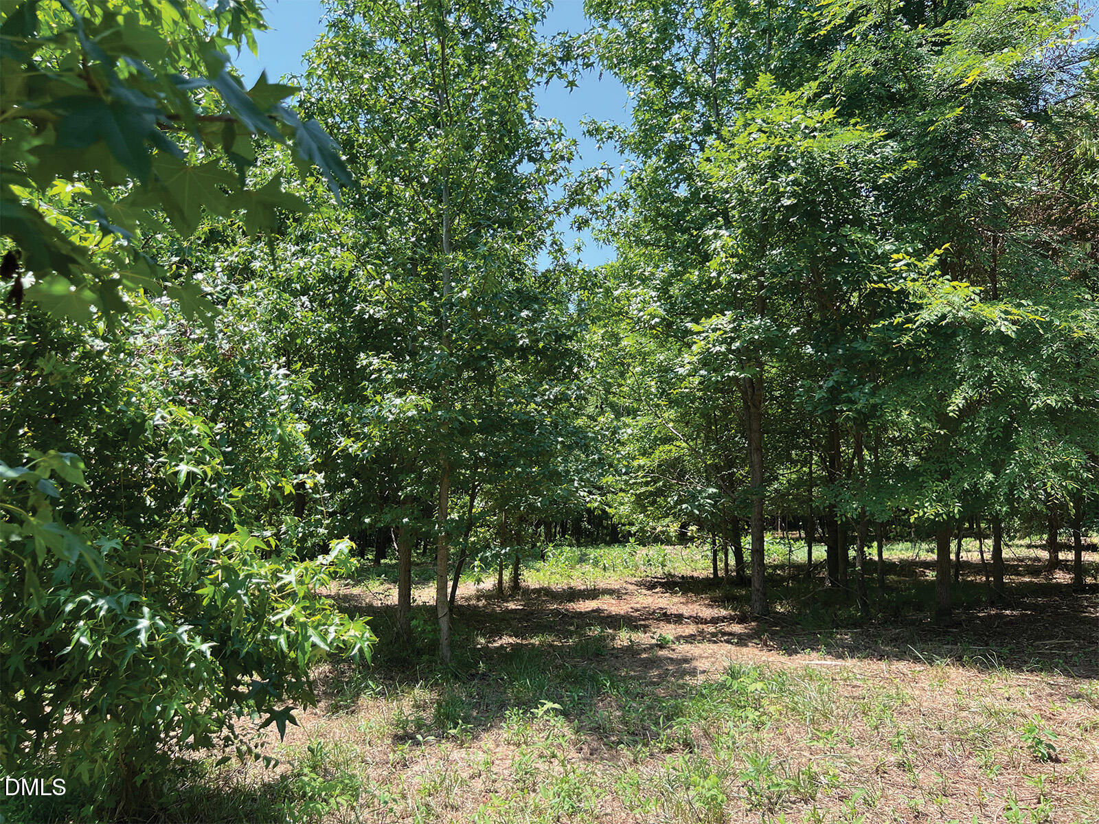 2338 Bowers Store Road Siler City North Carolina United States, for Sale, commercial,  , Realty World Carolina Properties
