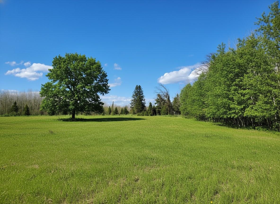 tbd Wildflower Lane NE Blackduck Minnesota United States, for Sale, residential,  , Headwaters Realty Services