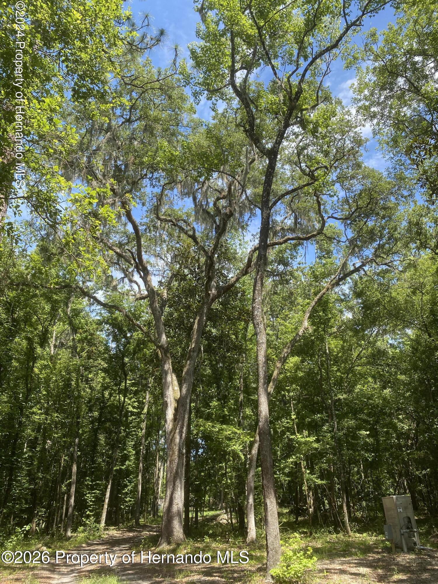 Snow Memorial Highway Brooksville Florida United States, for Sale, commercial,  , Gold Star Realty Group Inc