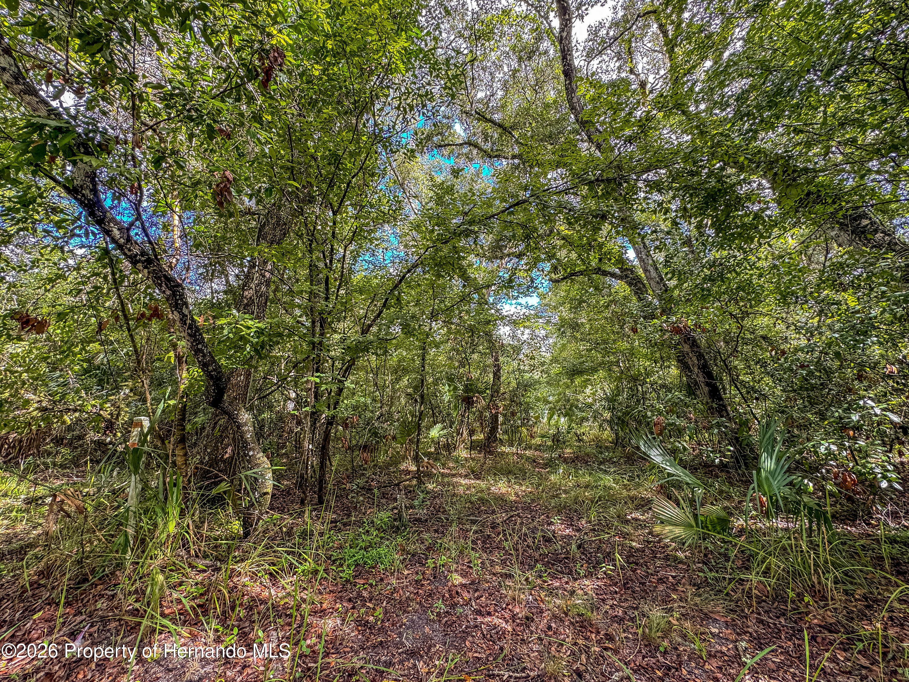 Old Hunter Road Brooksville Florida United States, for Sale, residential,  , Gold Star Realty Group Inc