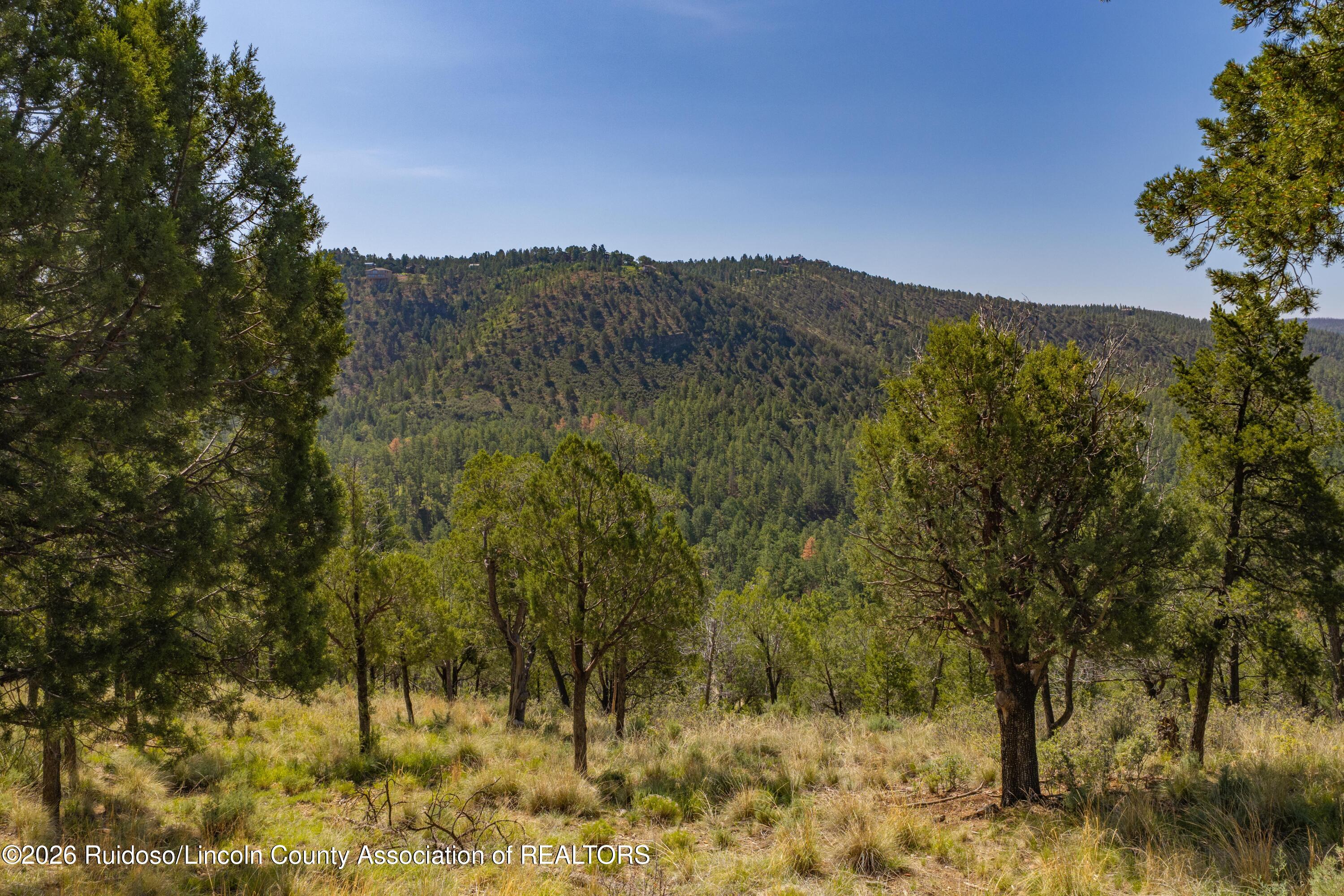 732 Center Street Ruidoso New Mexico United States, for Sale, commercial, Esme Sanchez, Century 21 Aspen Real Estate Company Inc.