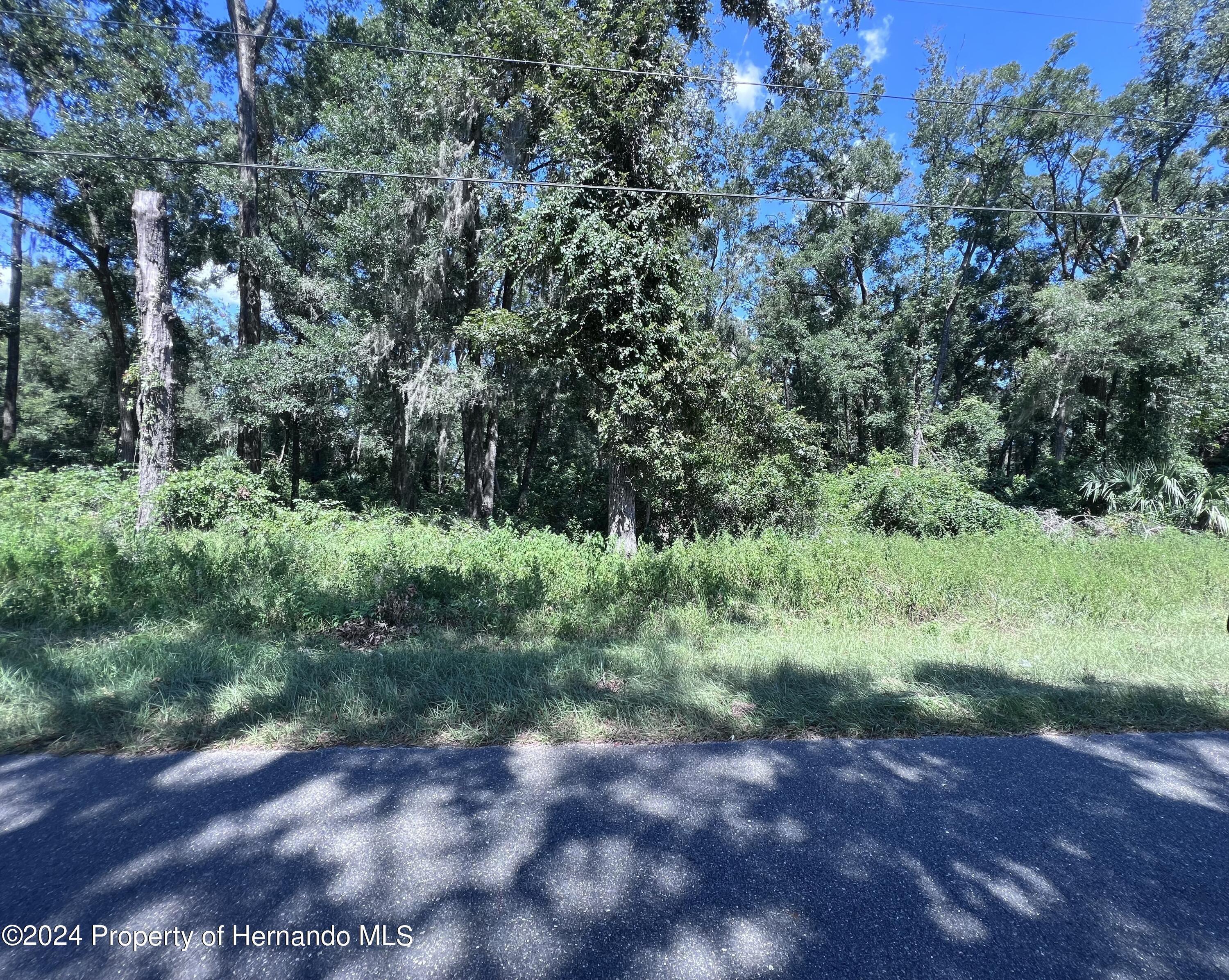 NW 90 Court Fanning Springs Florida United States, for Sale, commercial,  , Gold Star Realty Group Inc