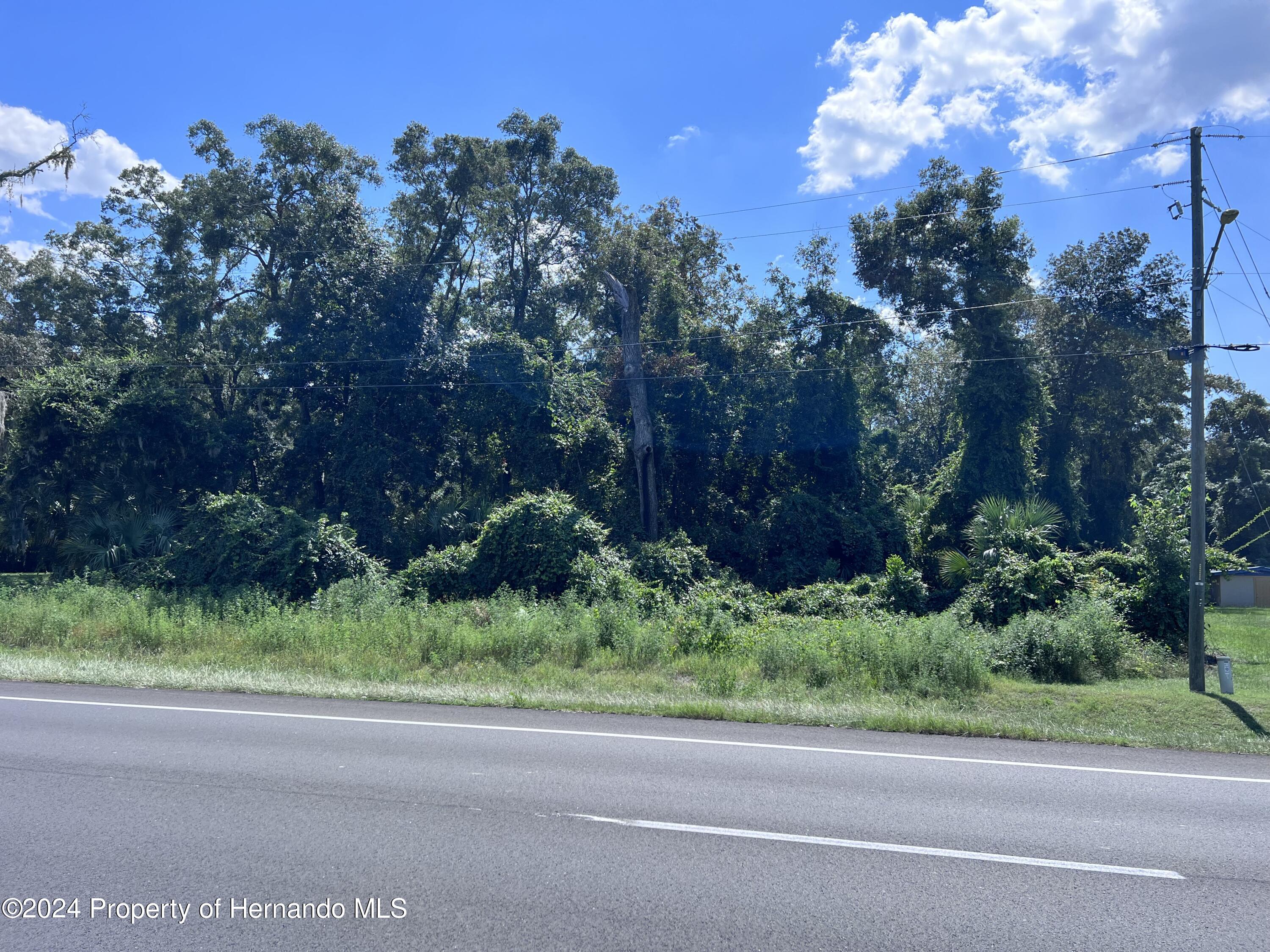US-19 Fanning Springs Florida United States, for Sale, commercial,  , Gold Star Realty Group Inc
