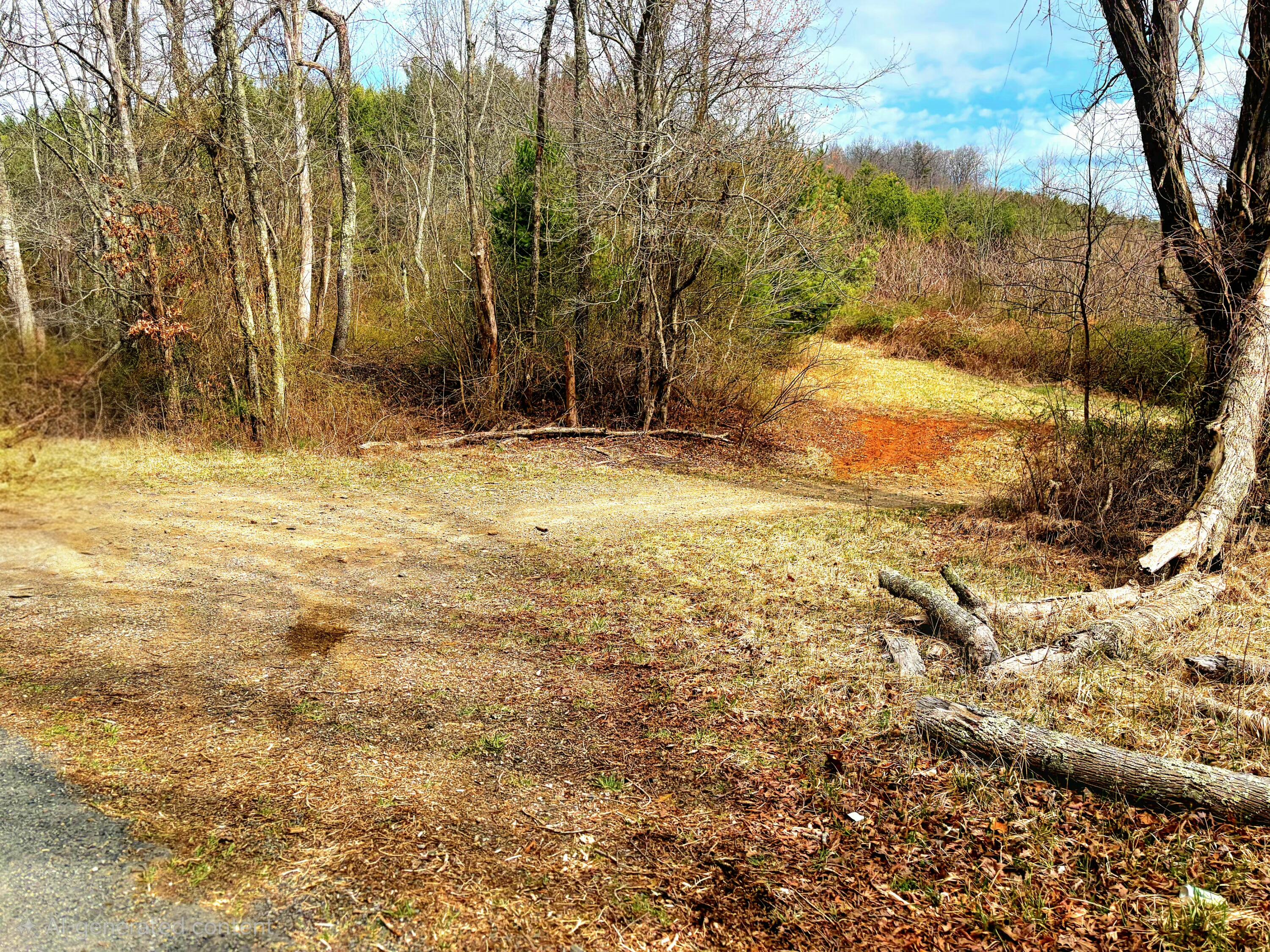 Burks Fork RD Floyd  United States, for Sale, commercial, Stephanie Varney, Varney Realty Partners