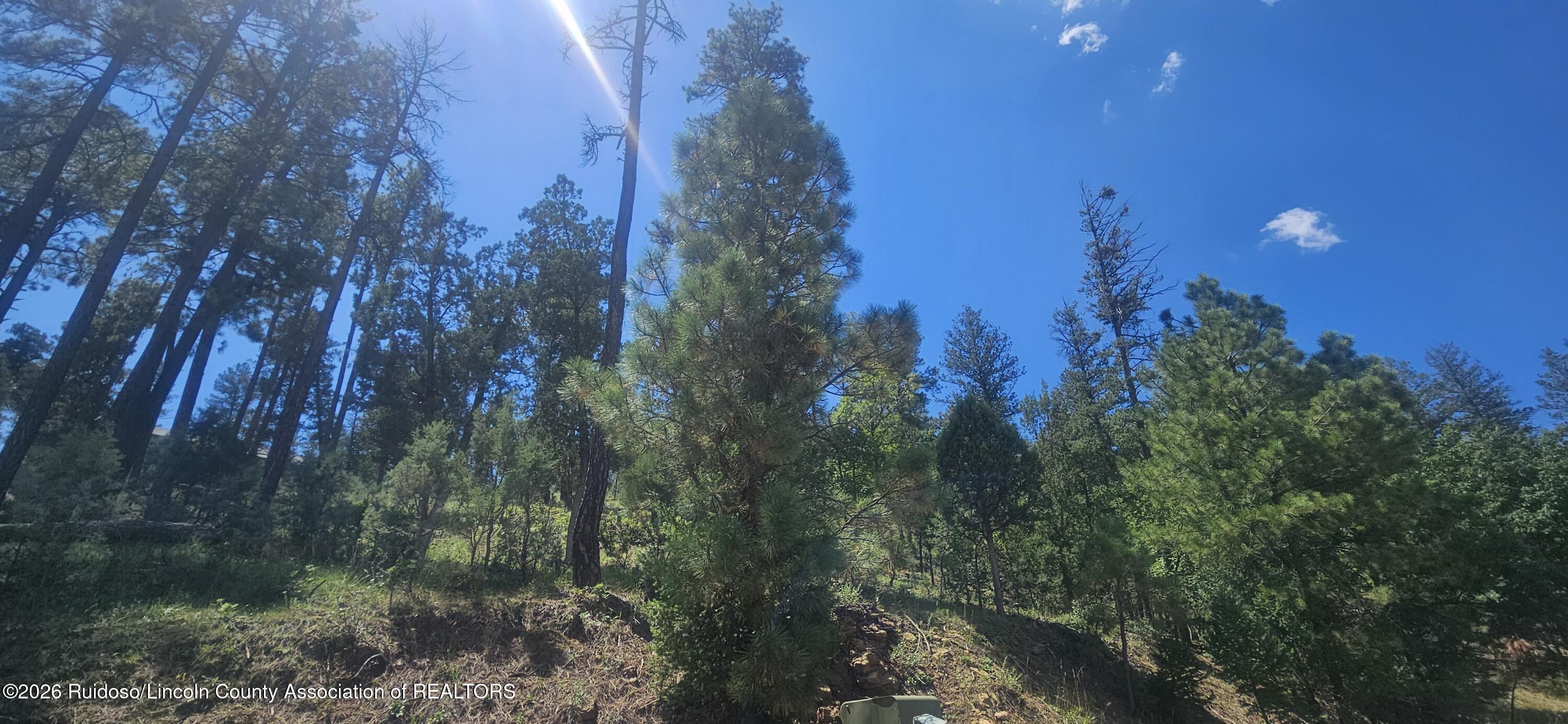 117 Oak Grove Place Ruidoso New Mexico United States, for Sale, commercial, Annette  Wood, Ruidoso Dream Catcher Realty