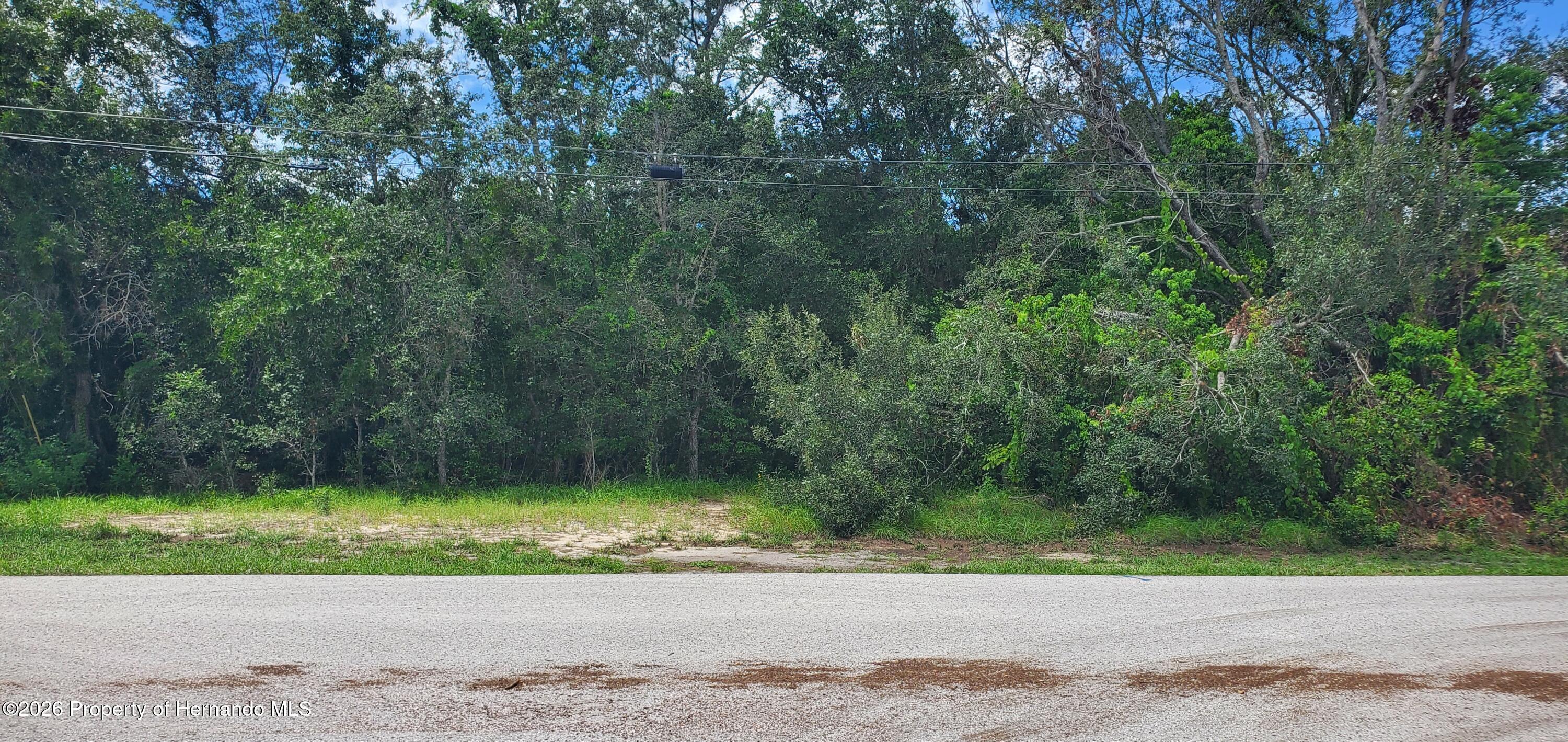 Newton Road Spring Hill Florida United States, for Sale, residential,  , Gold Star Realty Group Inc