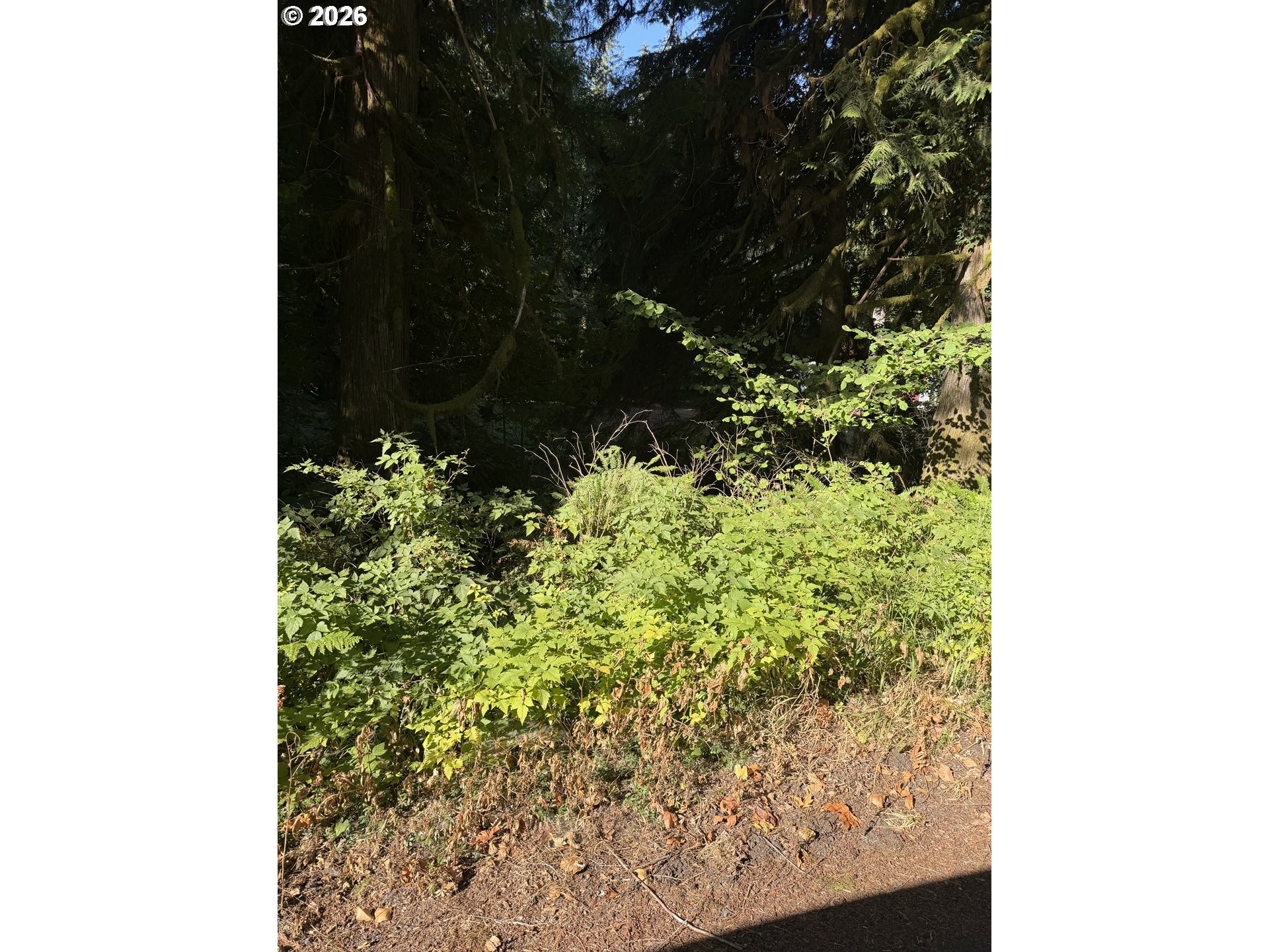 27325 E WELCHES RD Welches Oregon United States, for Sale, residential, Michelle Way, Exclusive Homes Real Estate