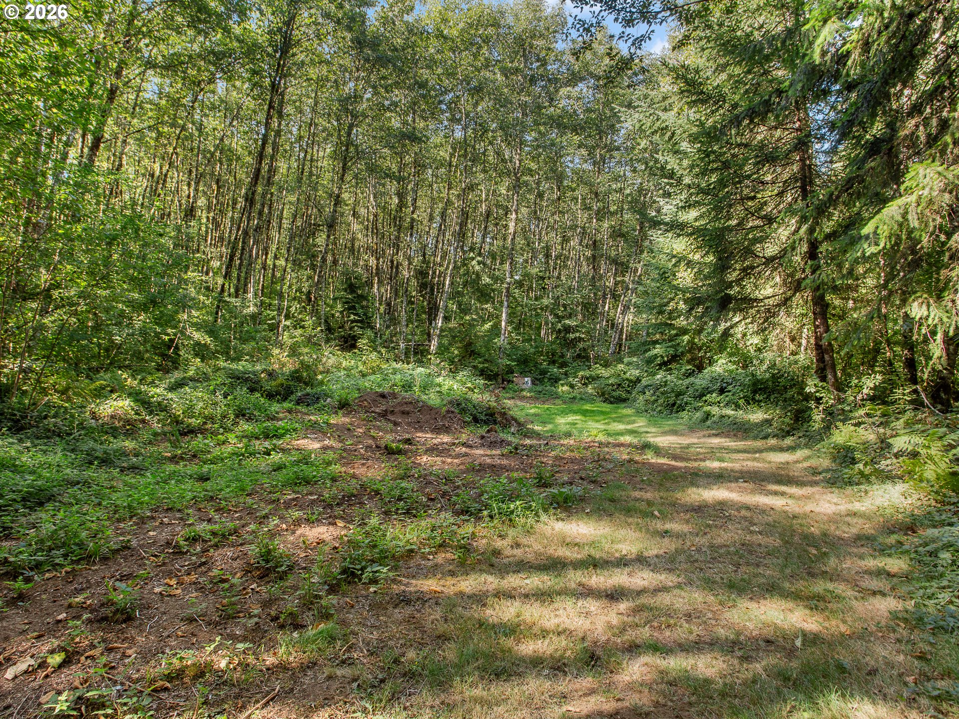 22800 SE 476TH AVE Sandy Oregon United States, for Sale, residential, Carl Exner, Exclusive Homes Real Estate
