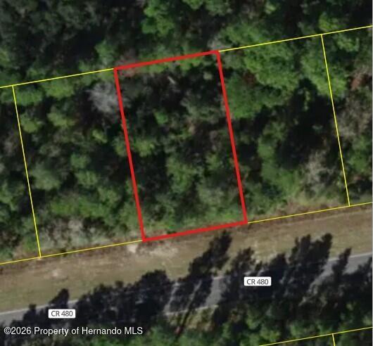 6407 W Oak Park Boulevard Homosassa Florida United States, for Sale, commercial,  , Gold Star Realty Group Inc