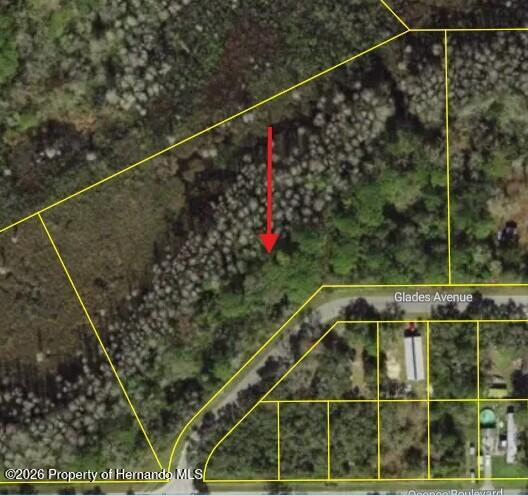 Glades Avenue New Port Richey Florida United States, for Sale, commercial,  , Gold Star Realty Group Inc