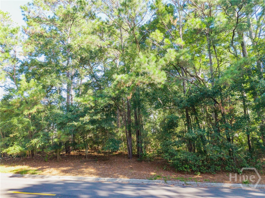 15 Pelham Road Savannah Georgia United States, for Sale, residential,  , Savannah Living Real Estate