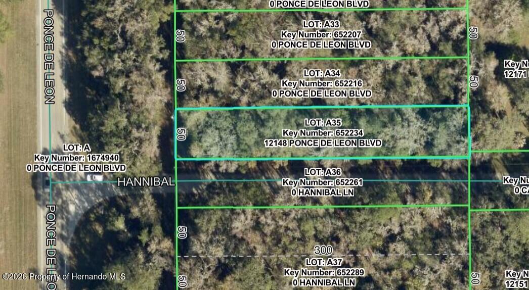 12148 Ponce De Leon Boulevard Brooksville Florida United States, for Sale, commercial,  , Gold Star Realty Group Inc