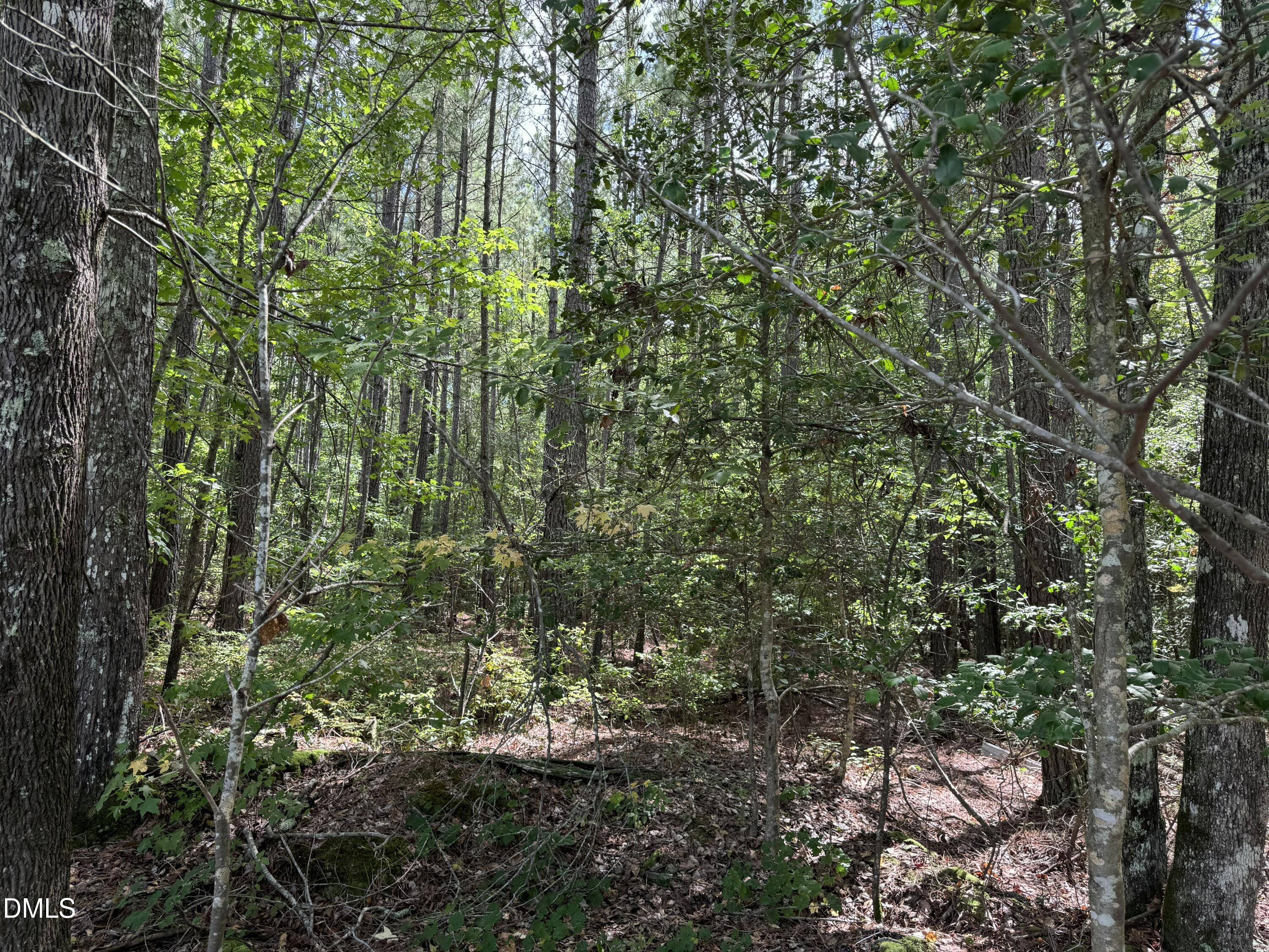 New Elam Church Road Moncure North Carolina United States, for Sale, commercial,  , Realty World Carolina Properties