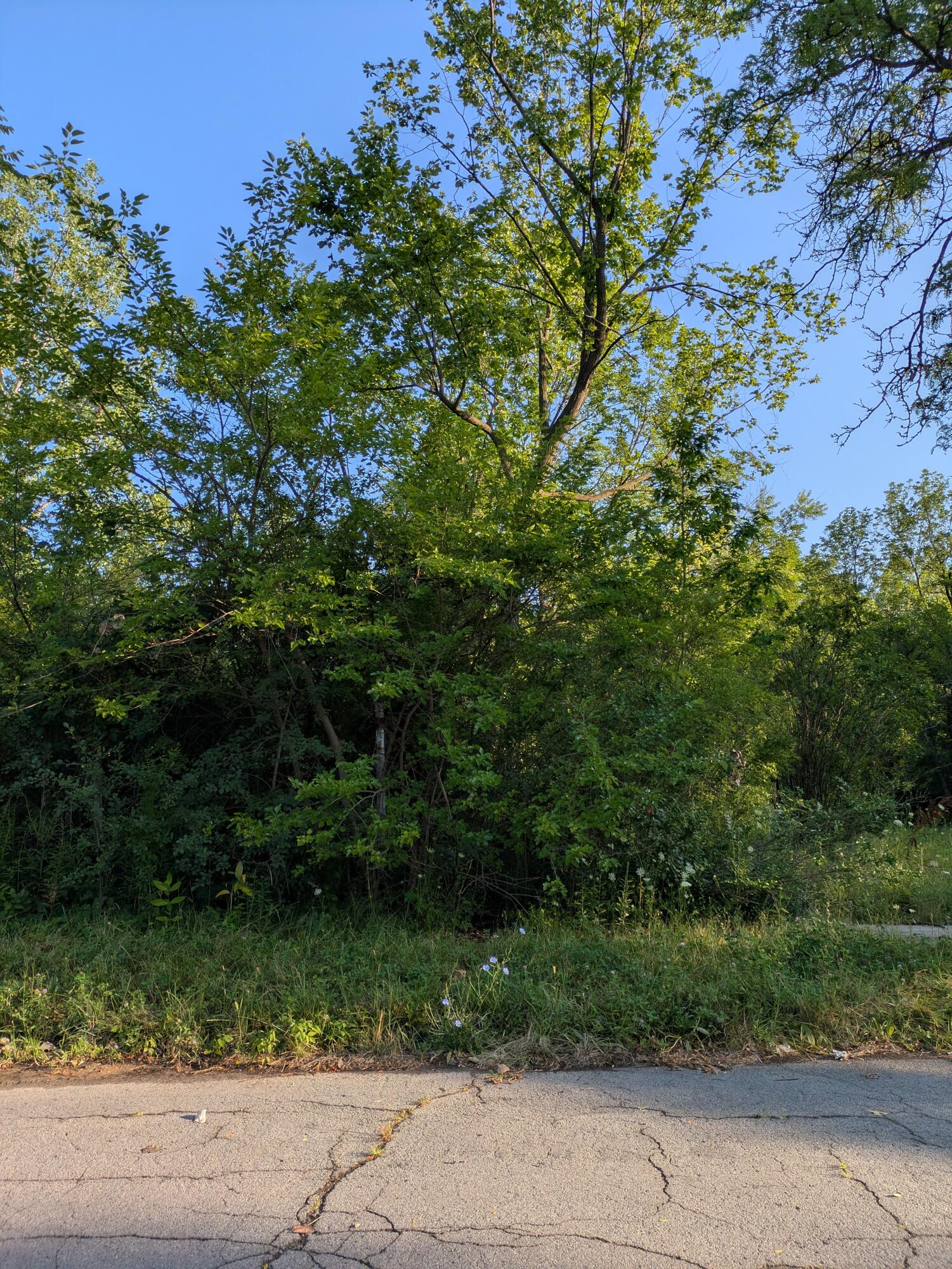 2640 W Forest Avenue Detroit Michigan United States, for Sale, commercial,  , New Way Realty Partners