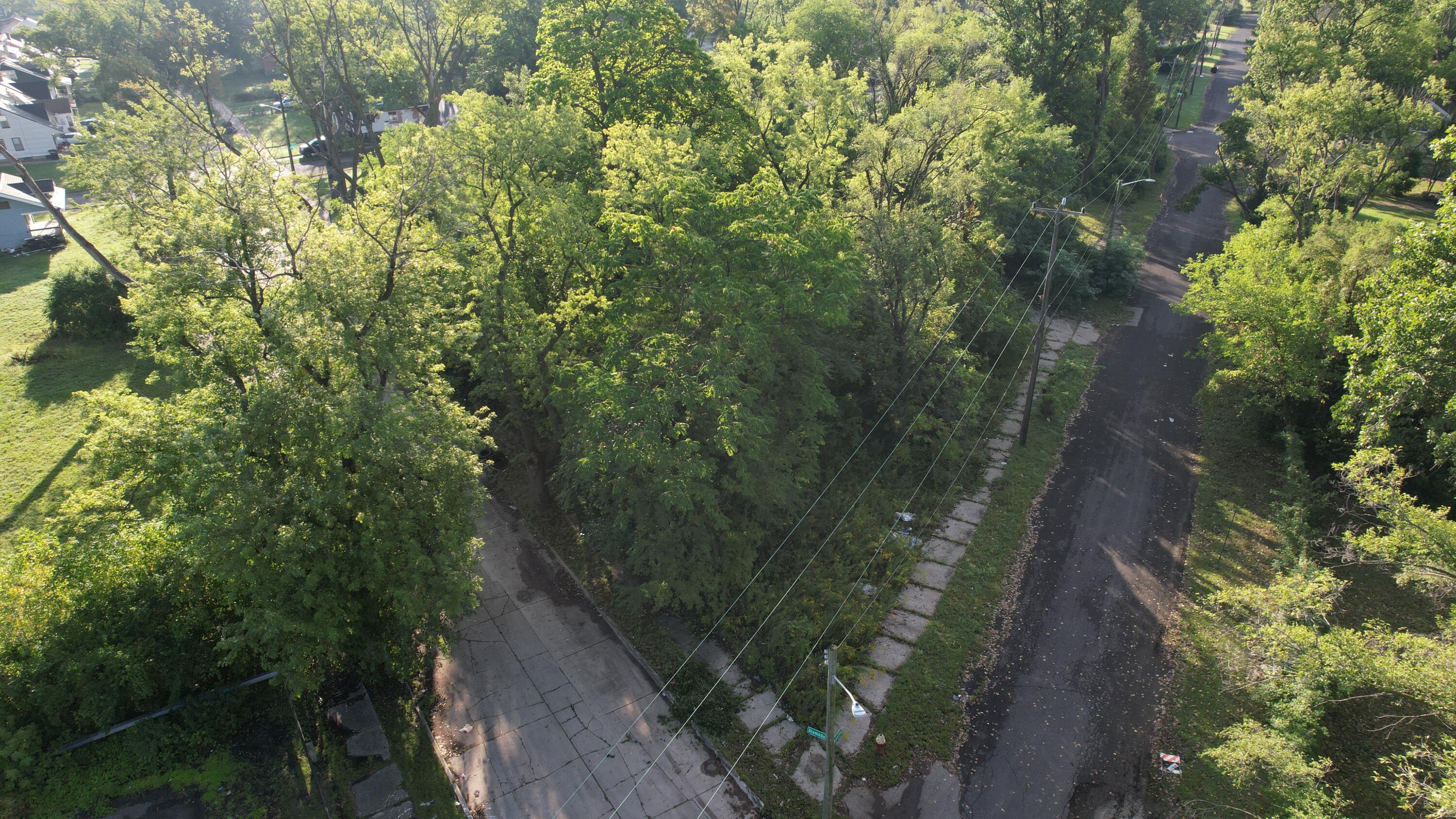 20536 Fayette Street Detroit Michigan United States, for Sale, residential,  , New Way Realty Partners