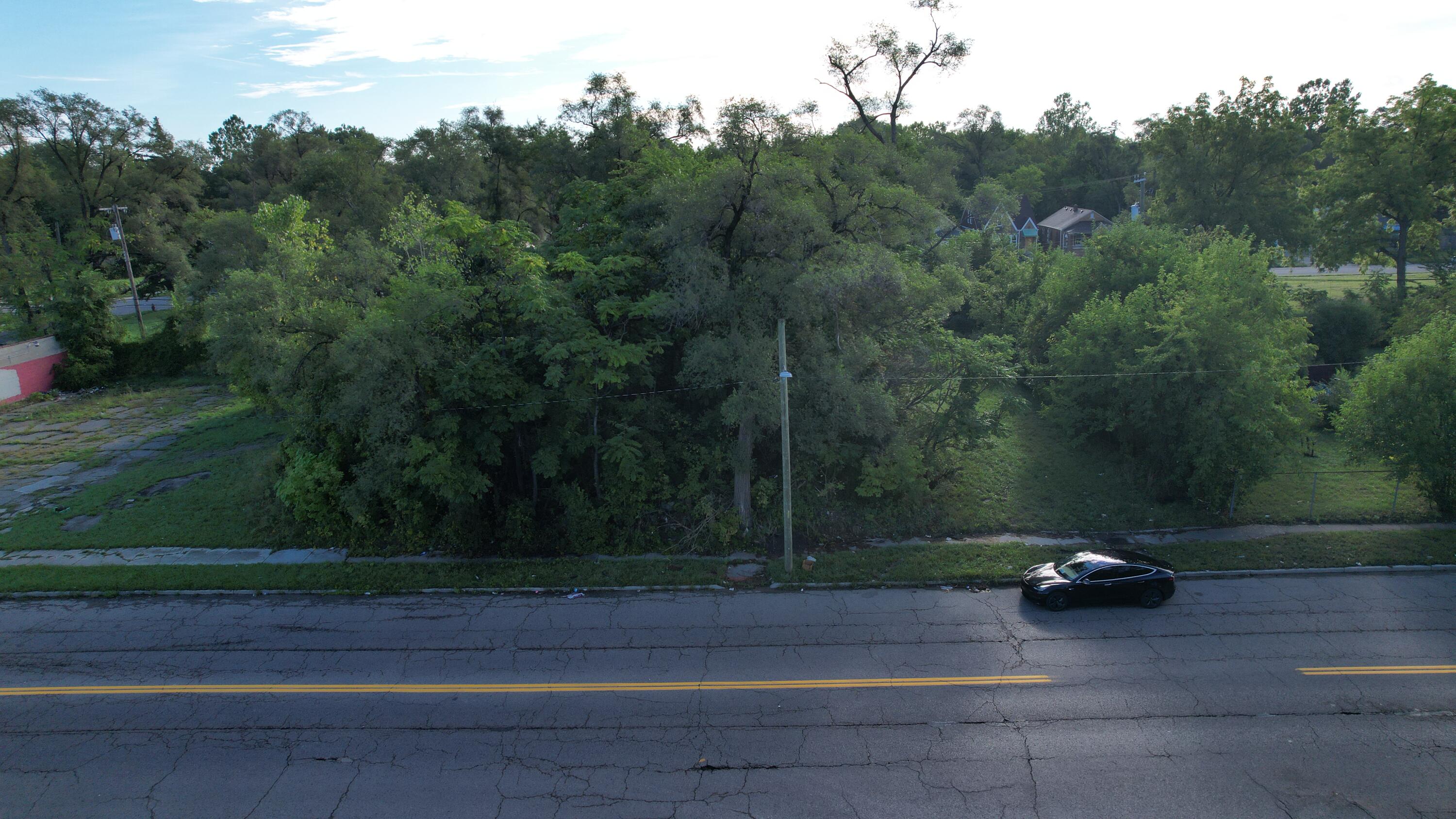 17280 Dequindre Street Detroit Michigan United States, for Sale, residential,  , New Way Realty Partners