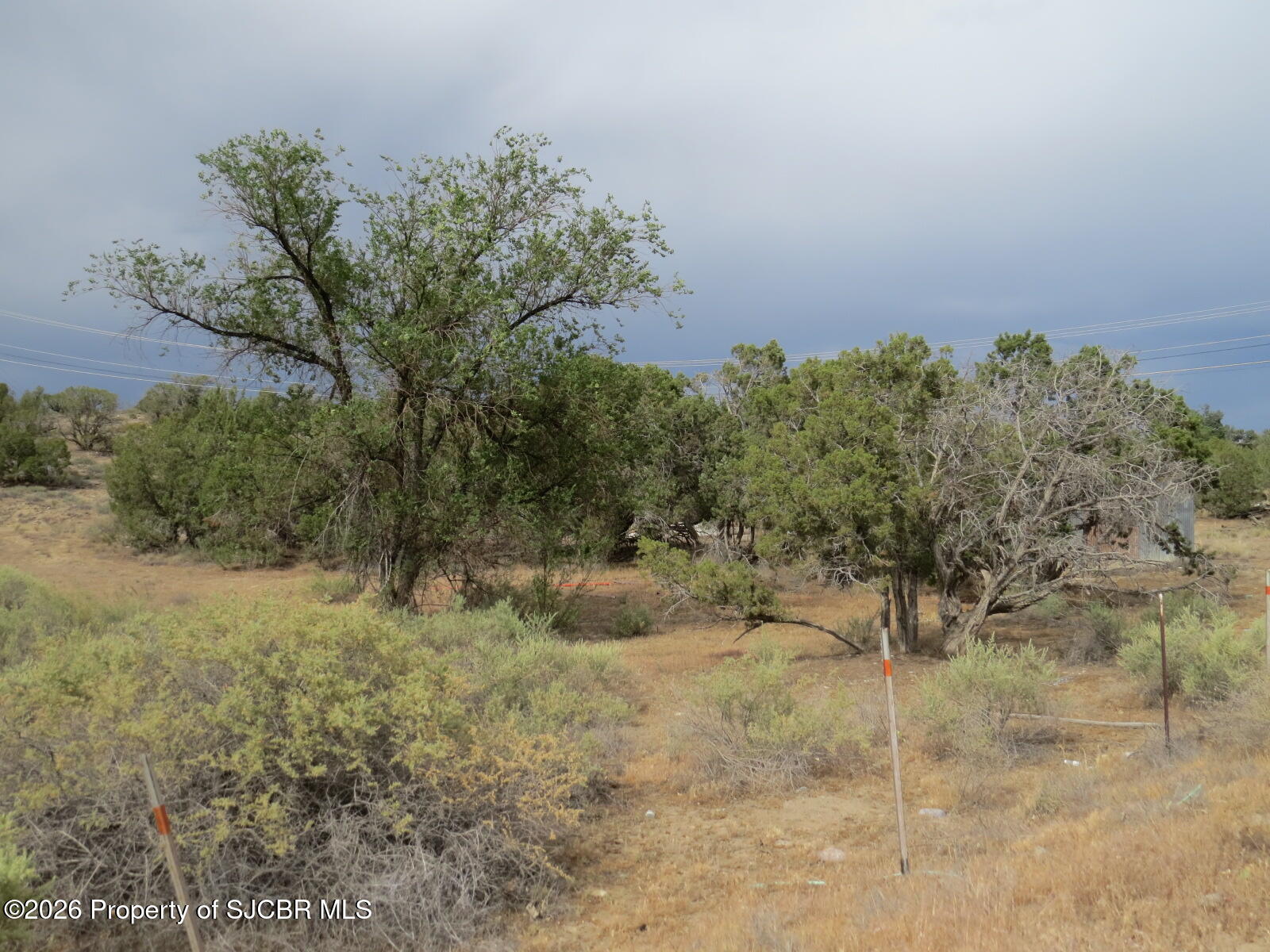 LOT 1A ROAD 2950 Aztec New Mexico United States, for Sale, commercial, Matt Albright, Positive Realty