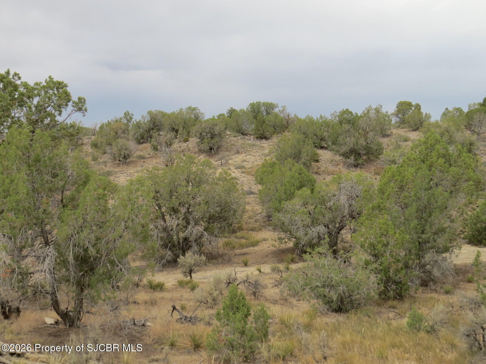 LOT 3A ROAD 2950 Aztec New Mexico United States, for Sale, commercial, Matt Albright, Positive Realty