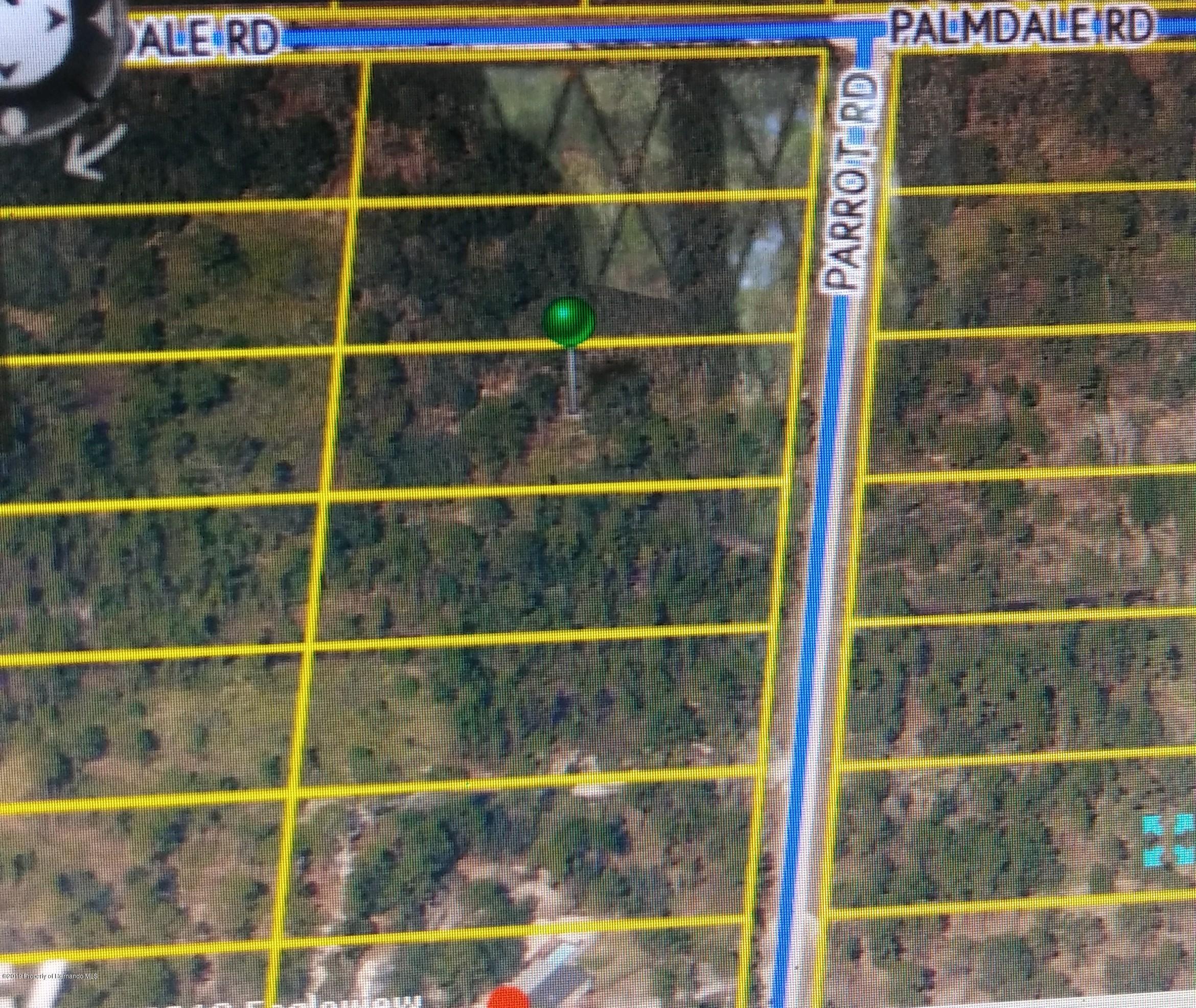 Parrot Road Weeki Wachee Florida United States, for Sale, residential,  , Gold Star Realty Group Inc