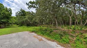 Orland Street Spring Hill(pasco) Florida United States, for Sale, residential,  , Gold Star Realty Group Inc