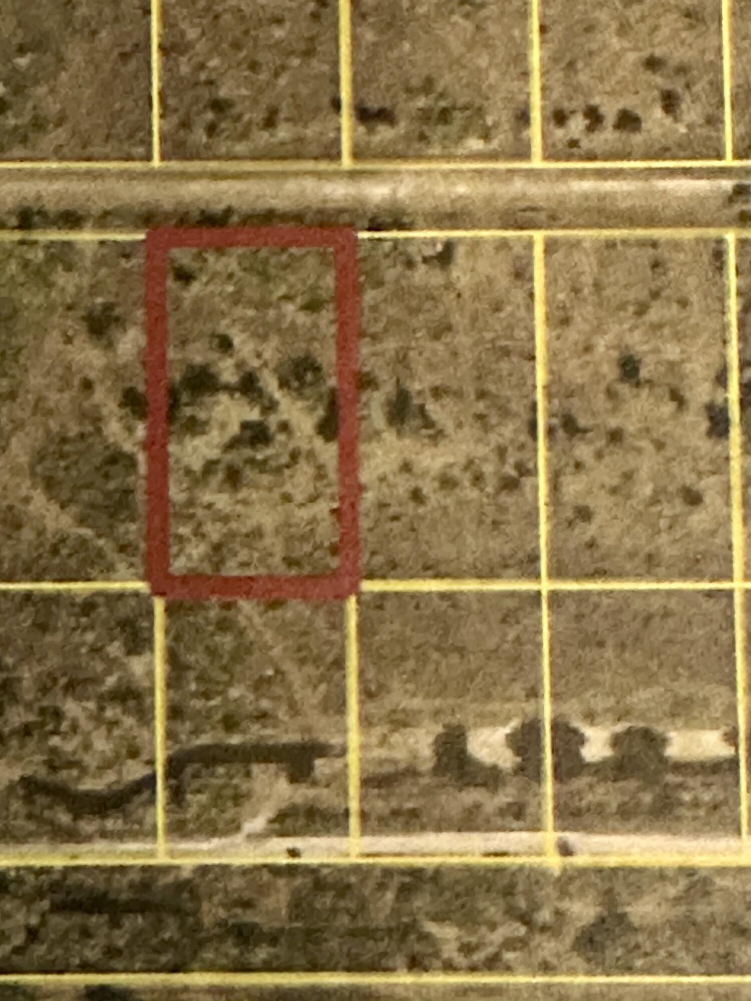 22076 NW 242nd Street Okeechobee Florida United States, for Sale, residential,  , Mixon Real Estate Group, LLC