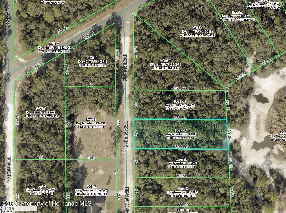 9088 Realstone Drive Webster Florida United States, for Sale, residential,  , Gold Star Realty Group Inc