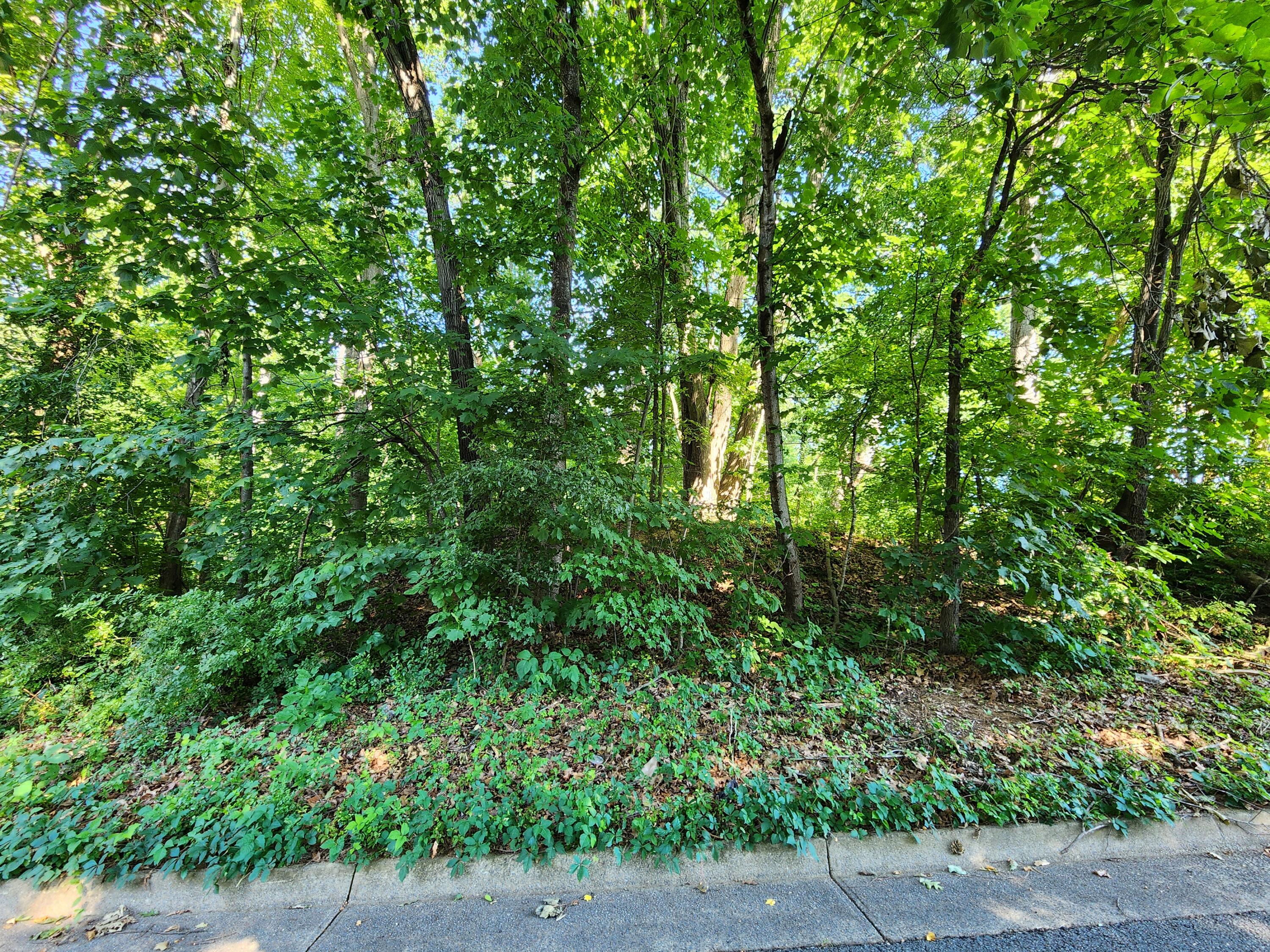 Laurel Ridge RD Roanoke Virginia United States, for Sale, residential,  , Varney Realty Partners