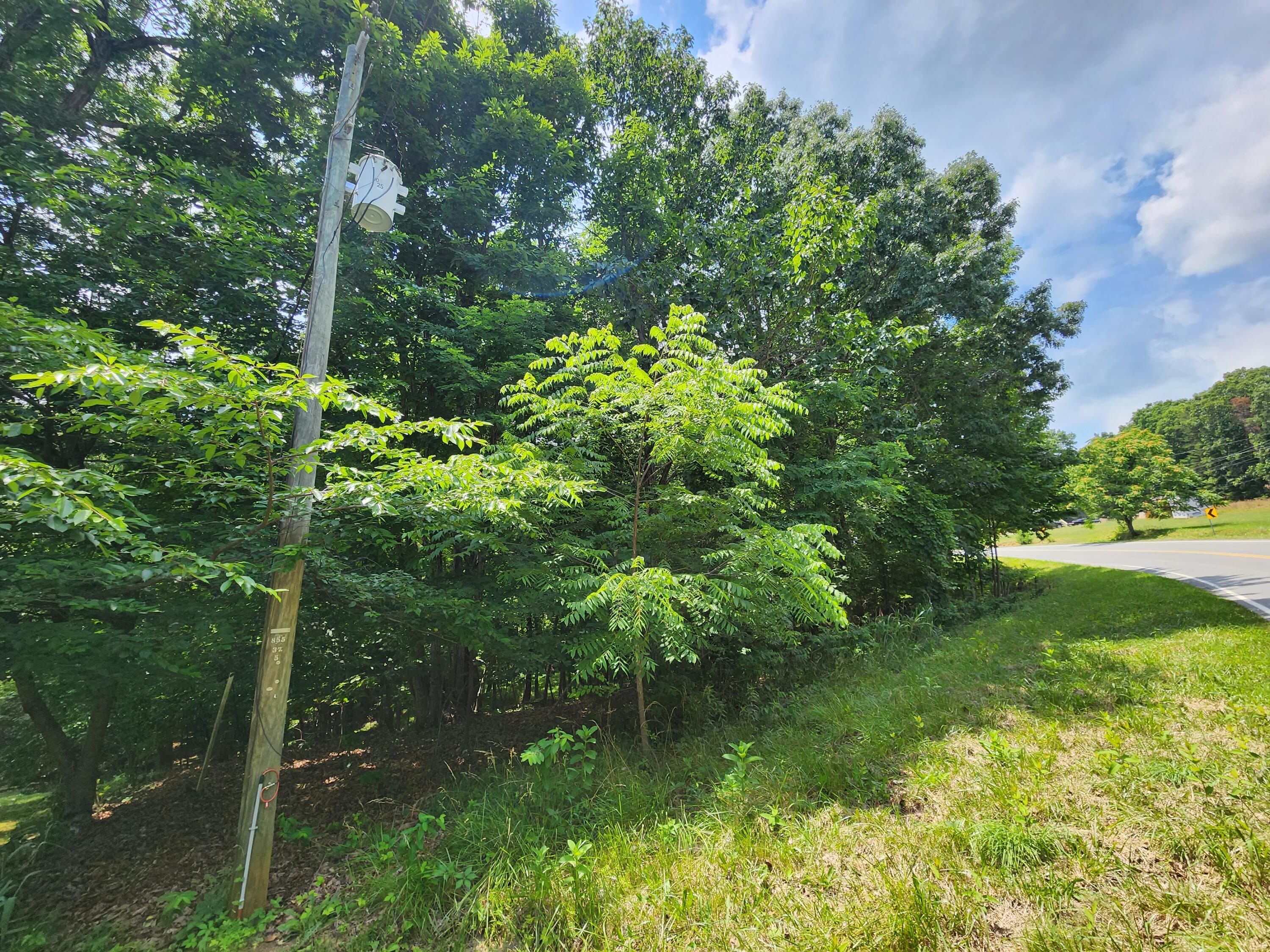 Diamond Hill RD Moneta Virginia United States, for Sale, residential,  , Varney Realty Partners