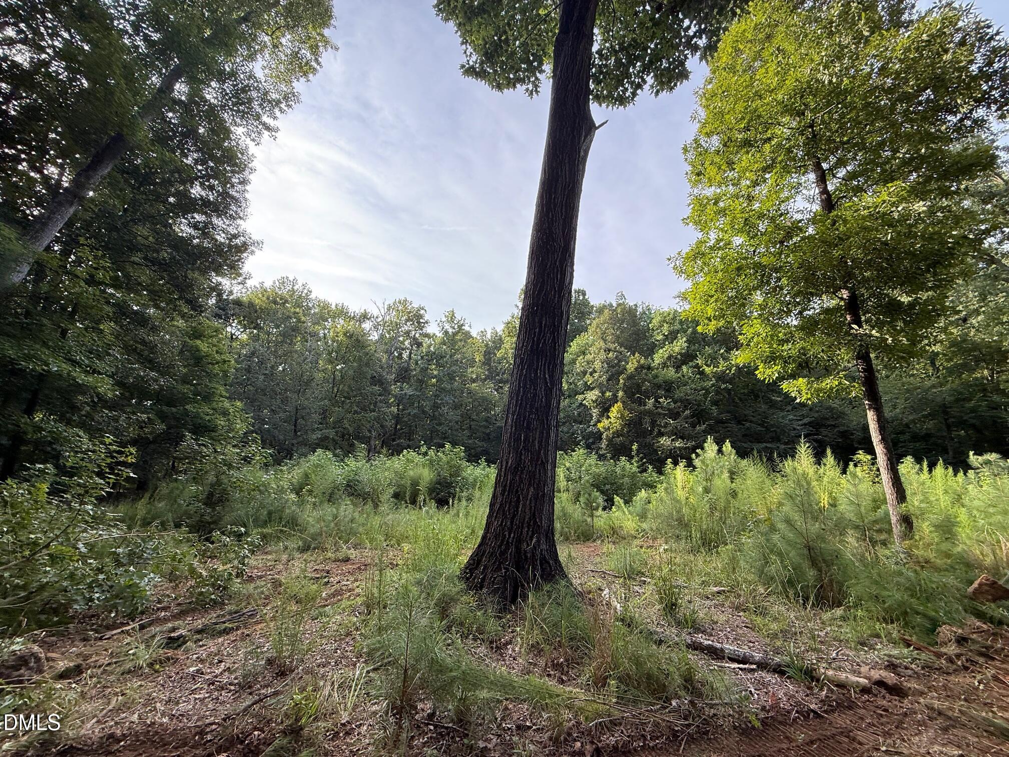 Lot 1 Orange Grv Street Hillsborough North Carolina United States, for Sale, residential,  , Realty World - Carolina Properties