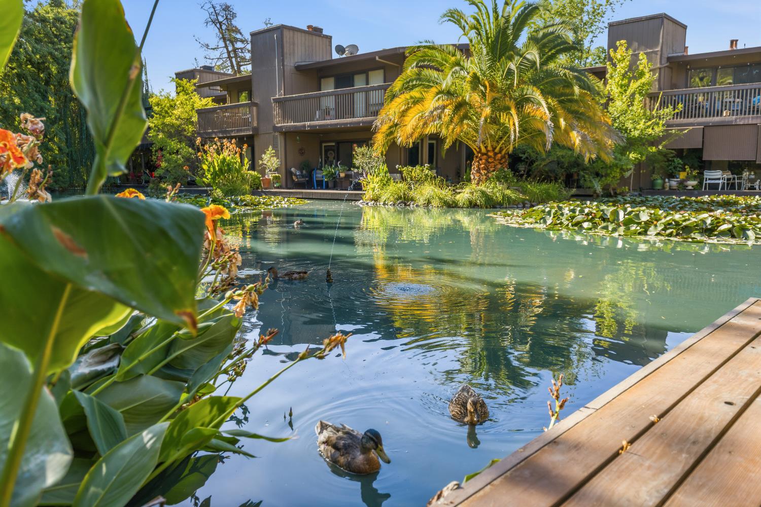 2418 Larkspur Lane APT 227 Sacramento California United States, for Sale, residential,  , SacHomes Realty Group