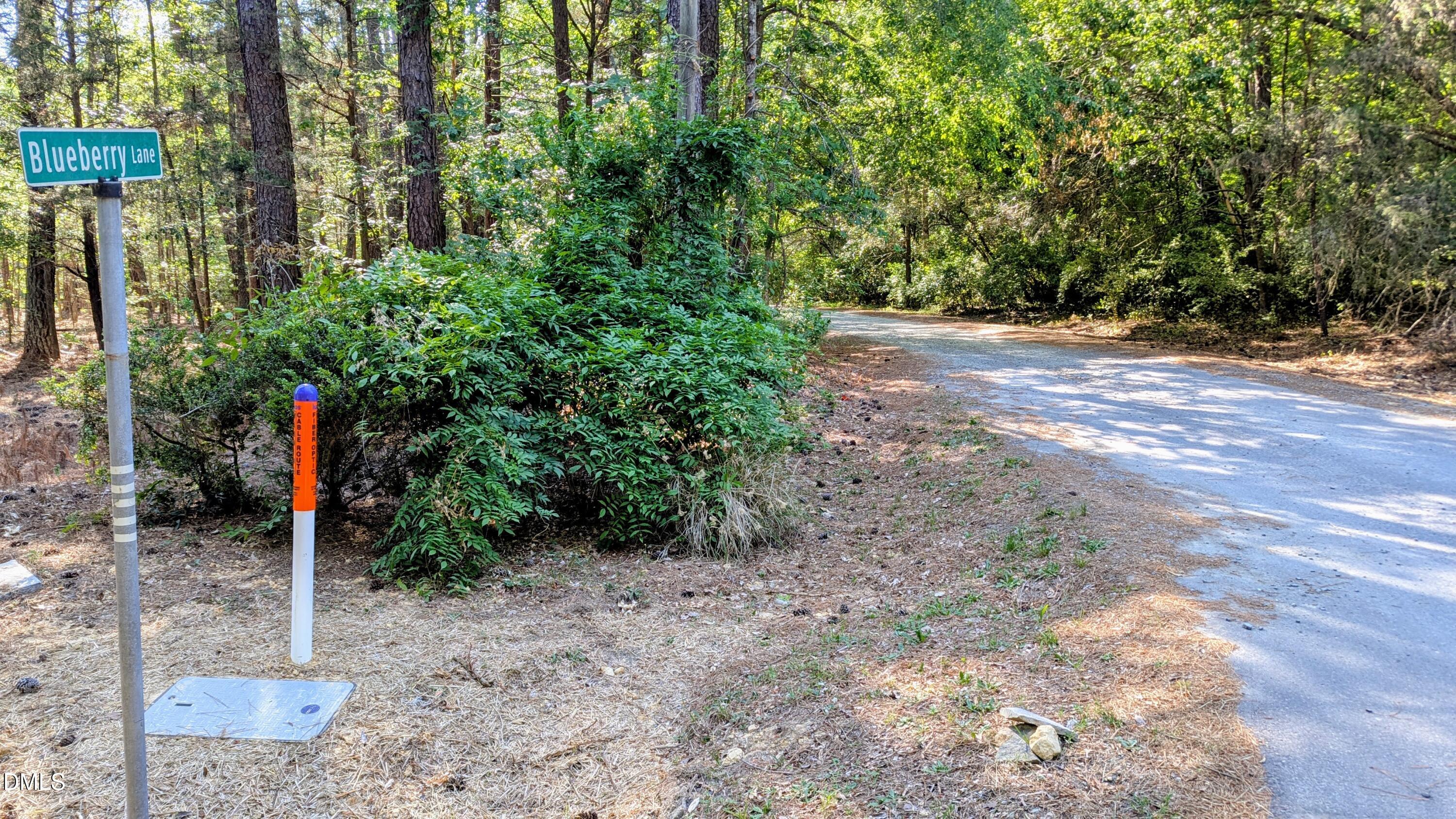 Lot 1 Blueberry Lane Chapel Hill North Carolina United States, for Sale, commercial,  , Realty World - Carolina Properties