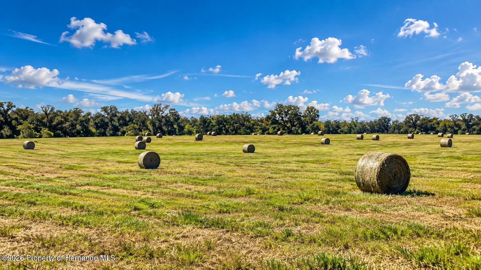 Mondon Hill Rd. Brooksville Florida United States, for Sale, commercial,  , Gold Star Realty Group Inc