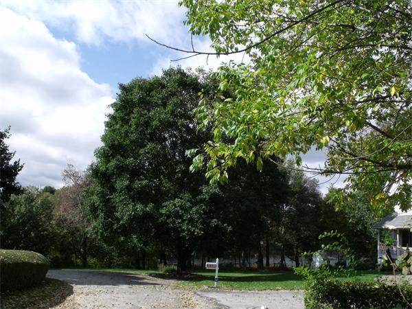 6 Anderson Ln Grafton Massachusetts United States, Sold, residential,  , HouZingo