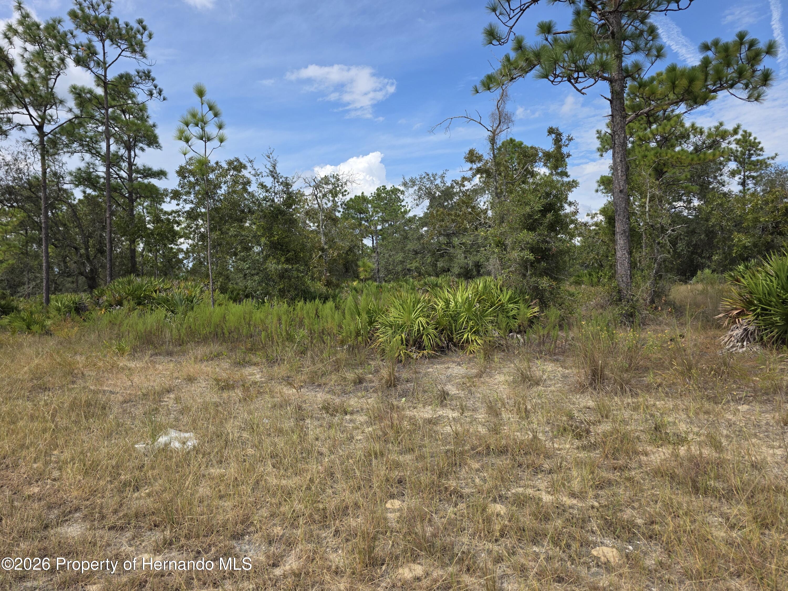 Thrasher Weeki Wachee Florida United States, for Sale, residential,  , Gold Star Realty Group Inc