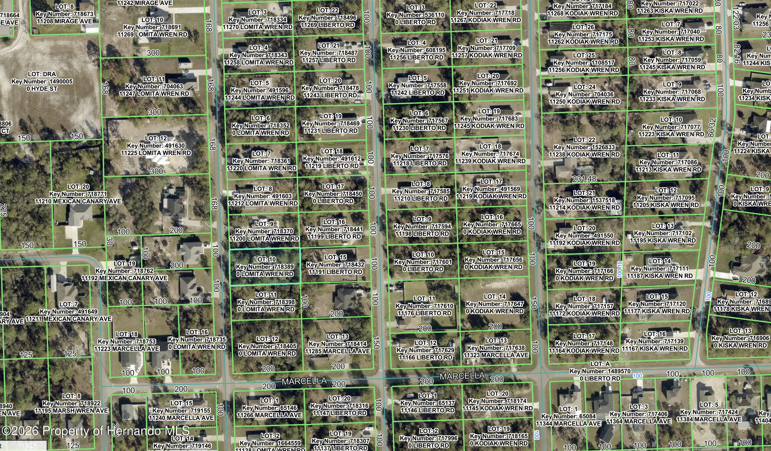 11192 Lomita Wren Road Brooksville Florida United States, for Sale, residential,  , Gold Star Realty Group Inc