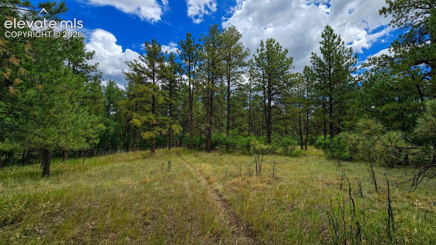 Westwood Road Colorado Springs Colorado United States, for Sale, commercial, Christy Dunfee, Realty One Group Apex