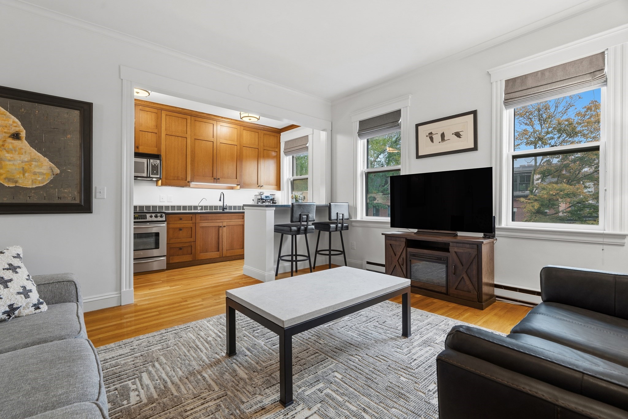 202 W Springfield St  UNIT 5 Boston Massachusetts United States, for Sale, residential, Darcy Bento, South Boston  Realtor Bento Real Estate Group, Bento Real Estate Group, Inc.