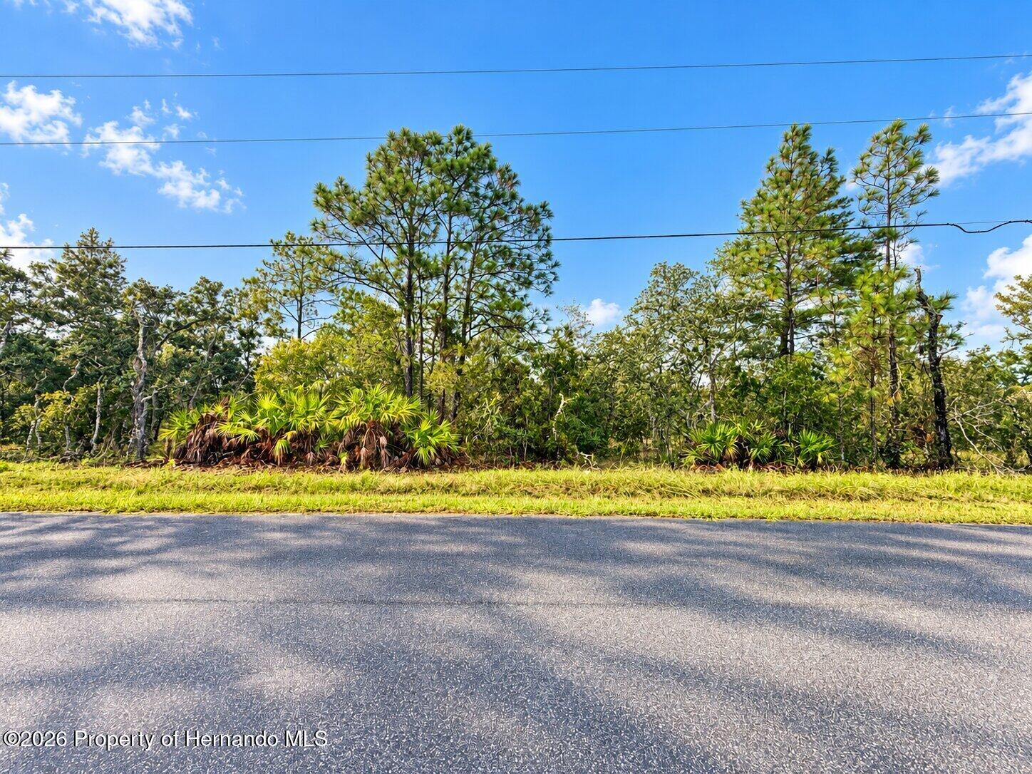 13052 Jaywalk Road Brooksville Florida United States, for Sale, residential,  , Gold Star Realty Group Inc