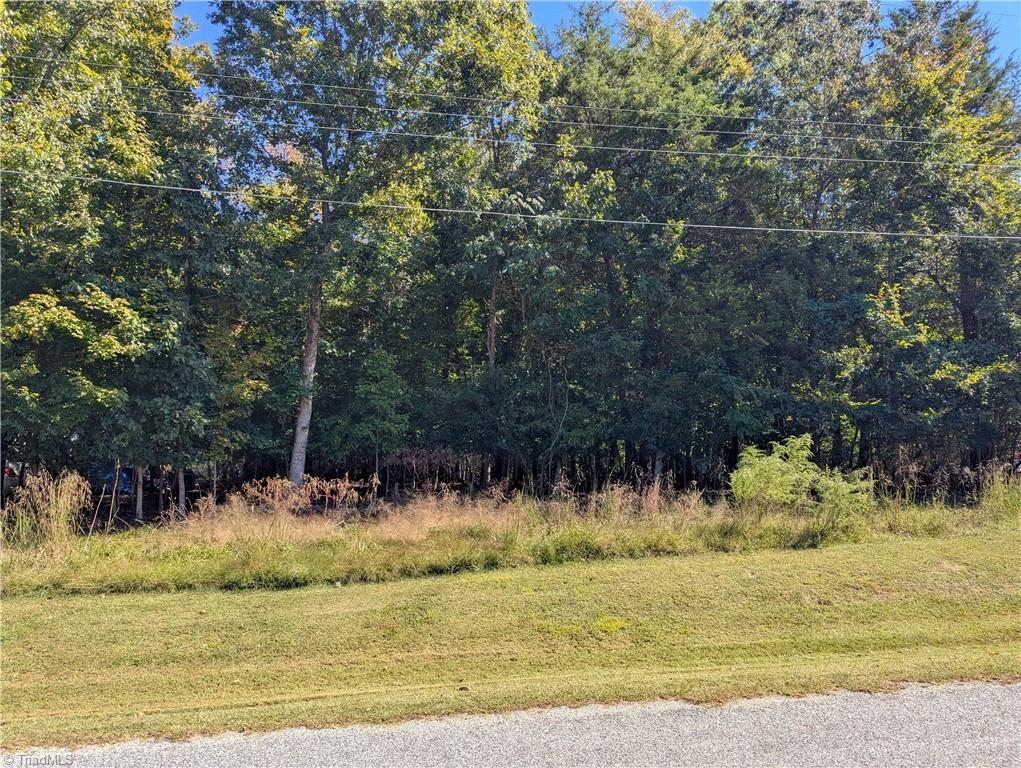 170 Spring Hollow Road High Point North Carolina United States, for Sale, residential, J.C. Grose, Triad Home and Land Co.