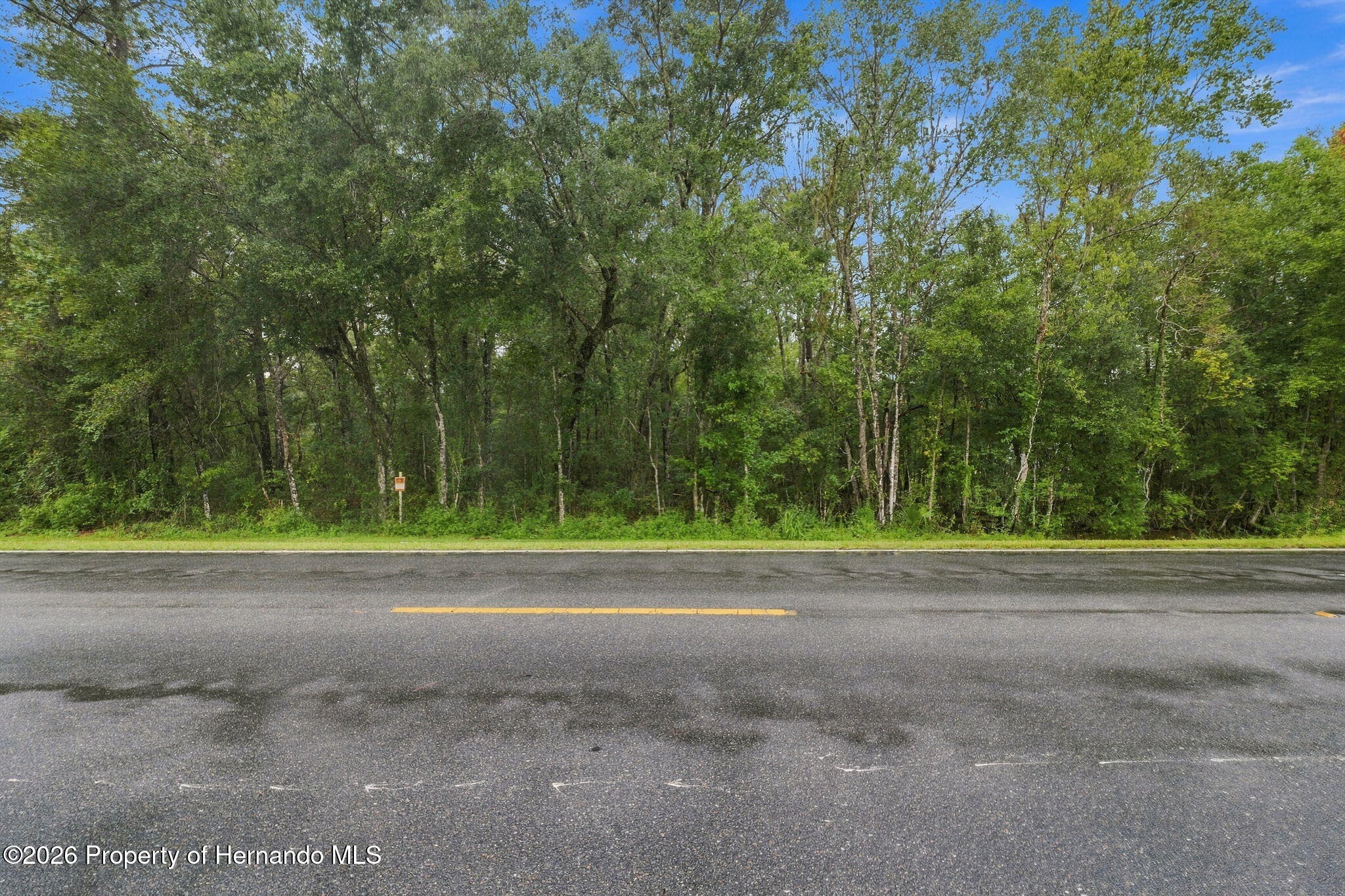 Emerson Road Brooksville Florida United States, for Sale, residential,  , Gold Star Realty Group Inc