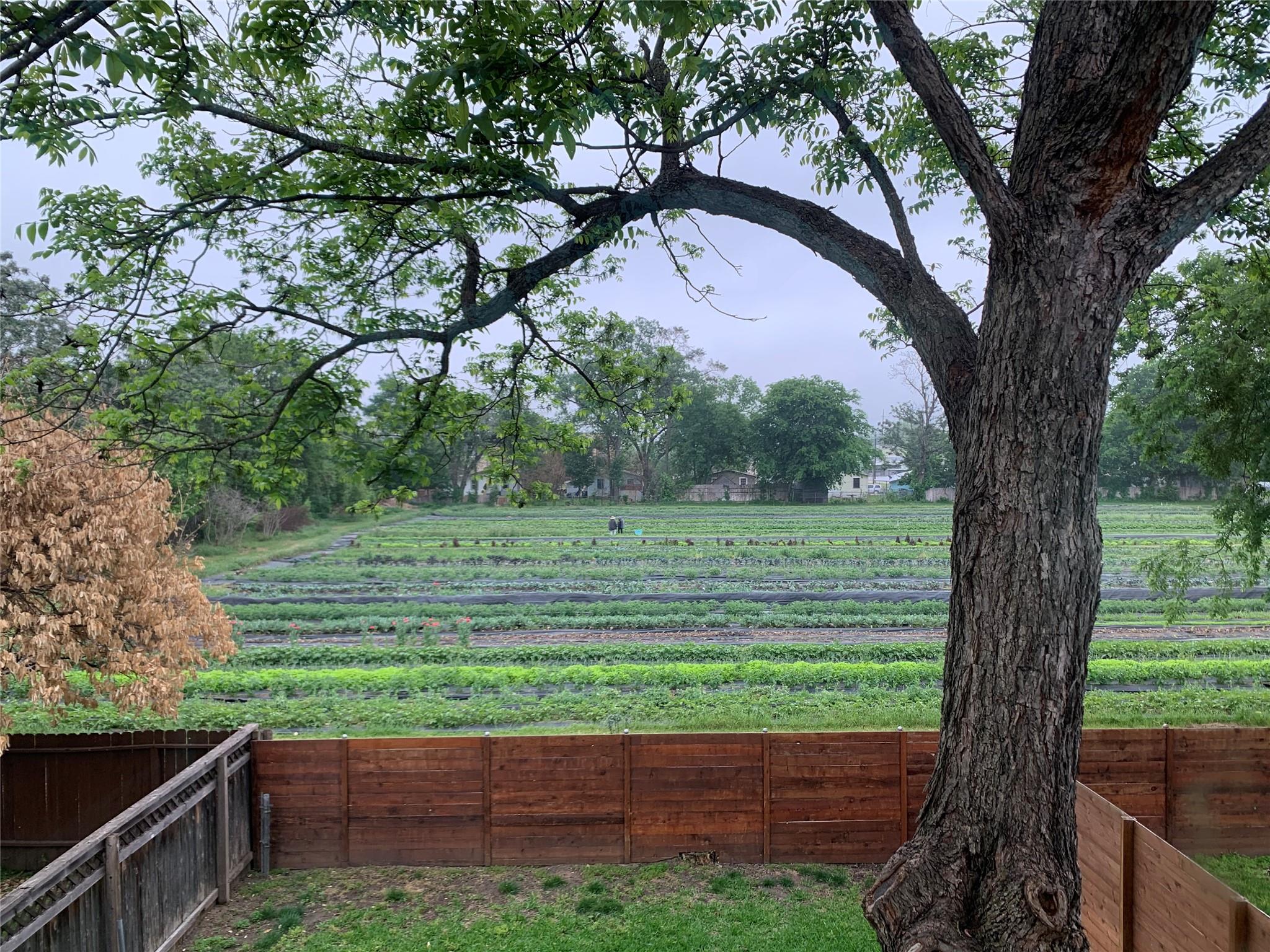 1009 Cherico ST Austin Texas United States, for Rent, residential, Jessica Dodge, All City Real Estate, Ltd. Co.