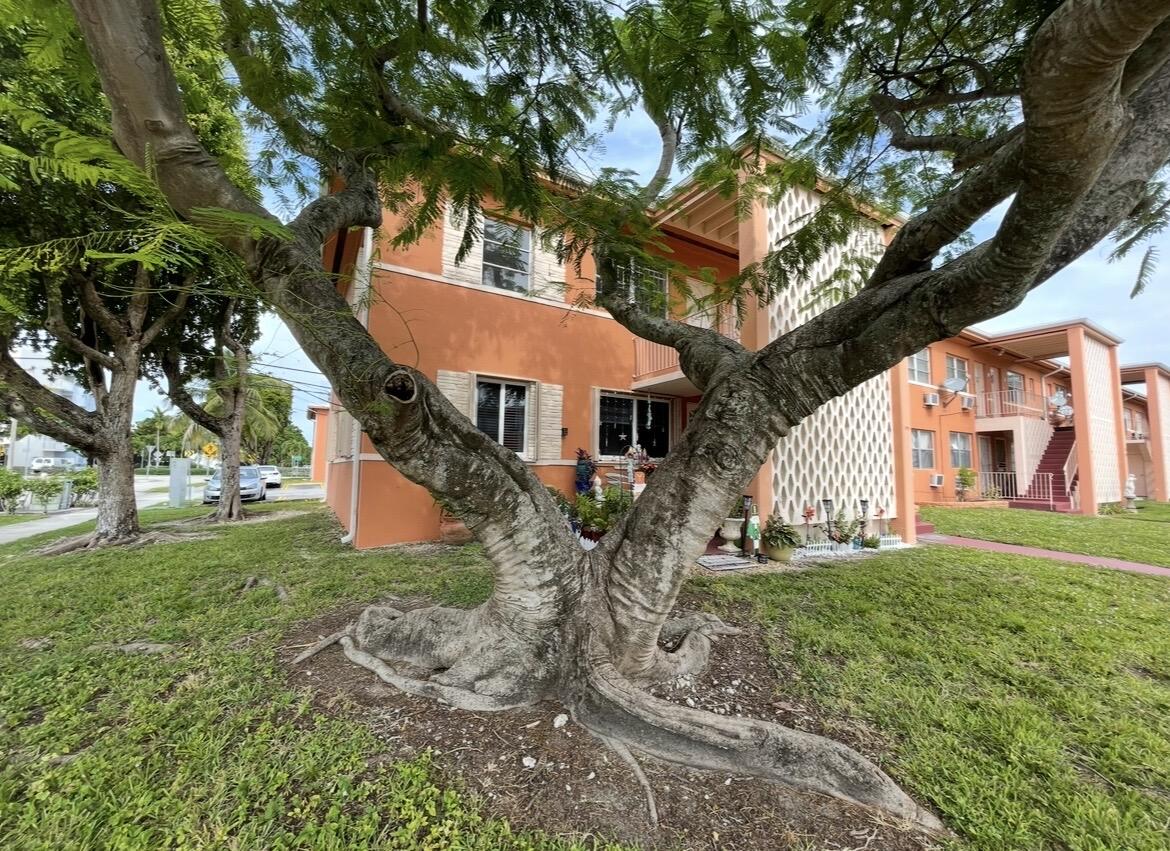 3591 SW 10th Street APT 12b Miami Florida United States, for Rent, residential,  , RCA Realty Group
